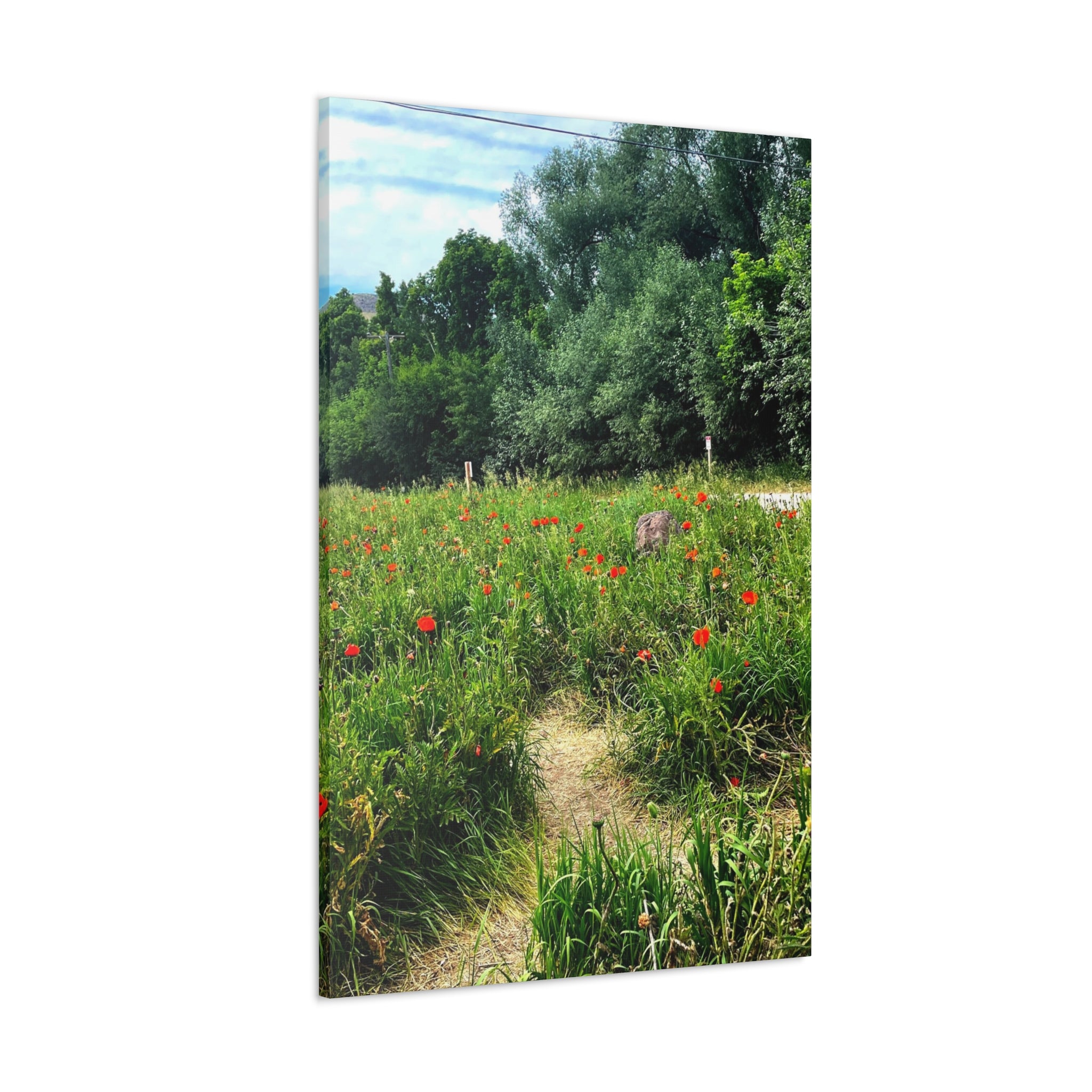 Utah Mountain Countryside Canvas Wrap