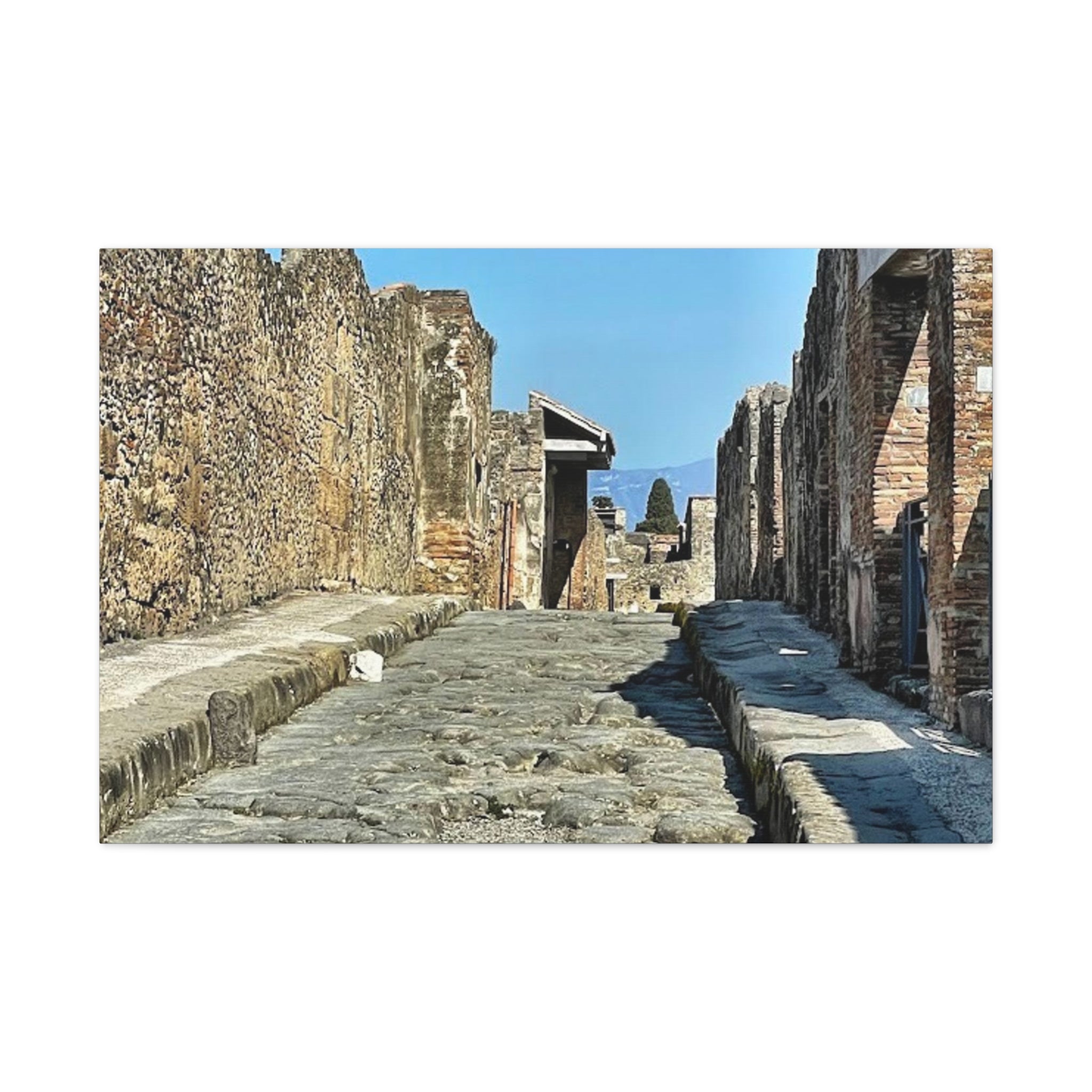 Pompeii Italy Canvas Wrap