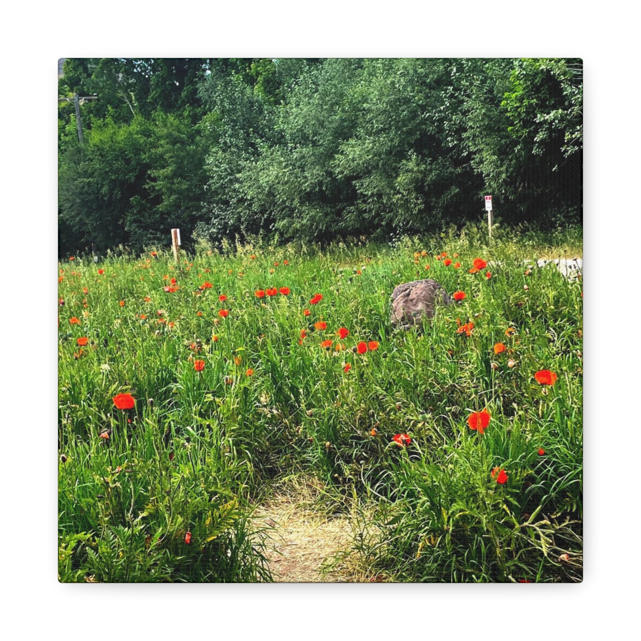 Utah Mountain Countryside Canvas Wrap