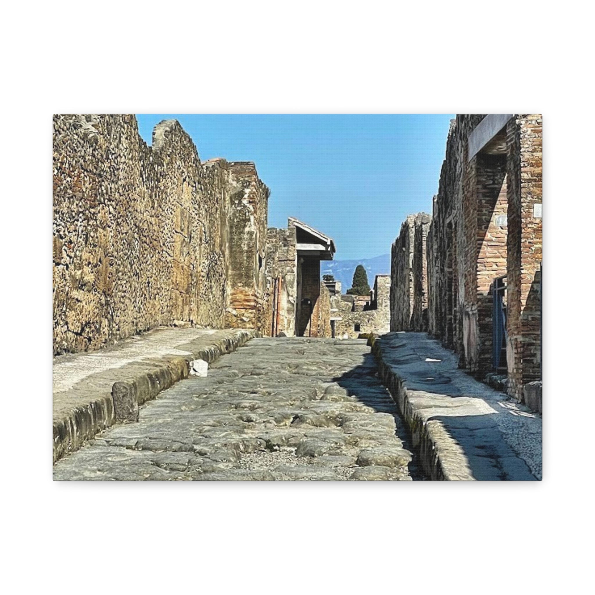 Pompeii Italy Canvas Wrap