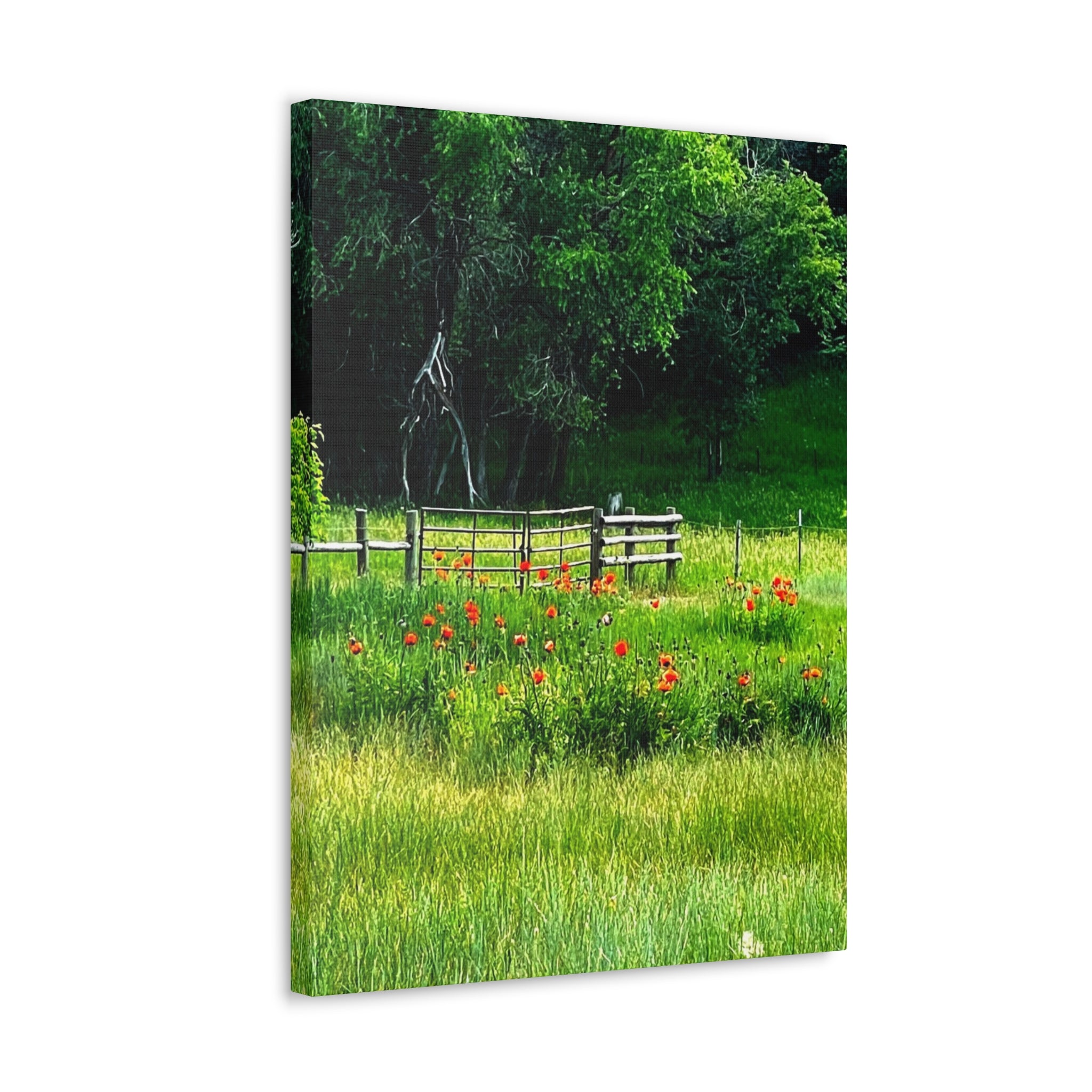 Utah Poppy Field Canvas Wrap