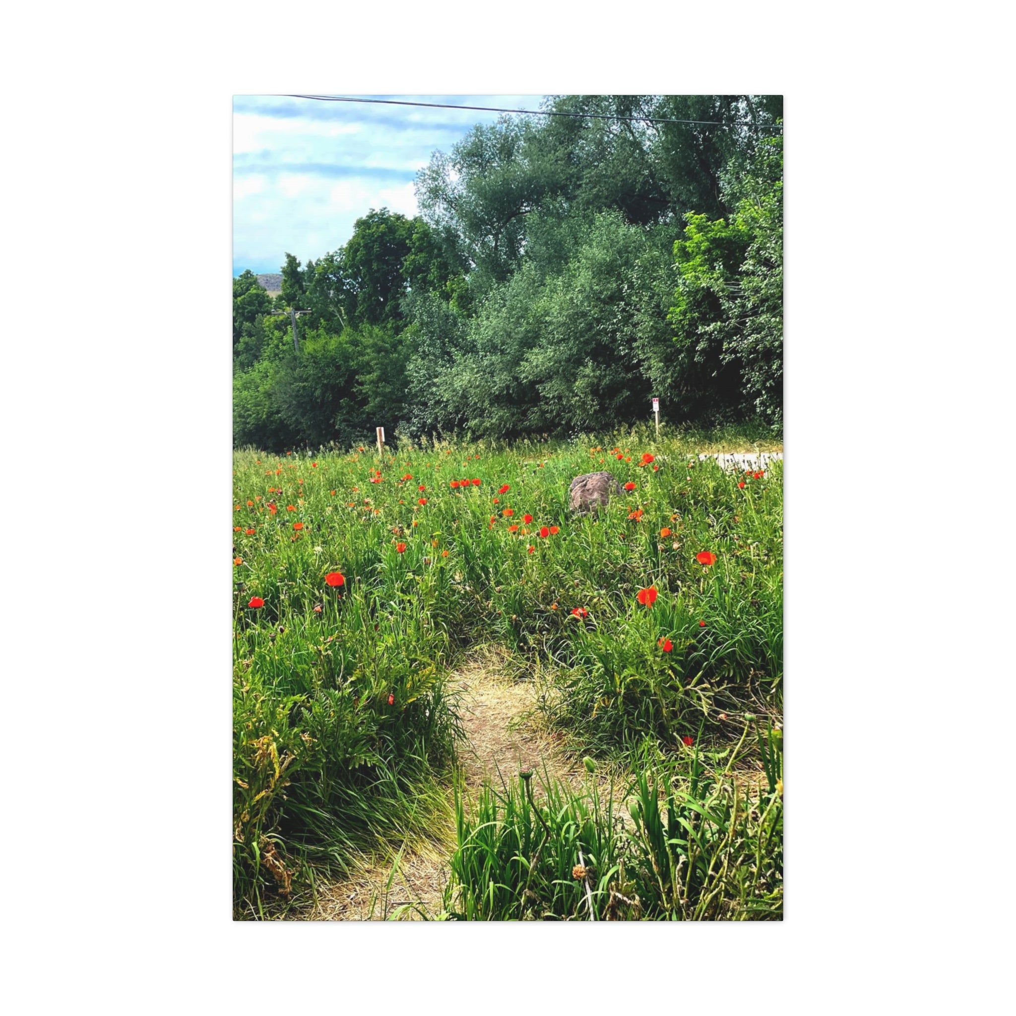 Utah Mountain Countryside Canvas Wrap