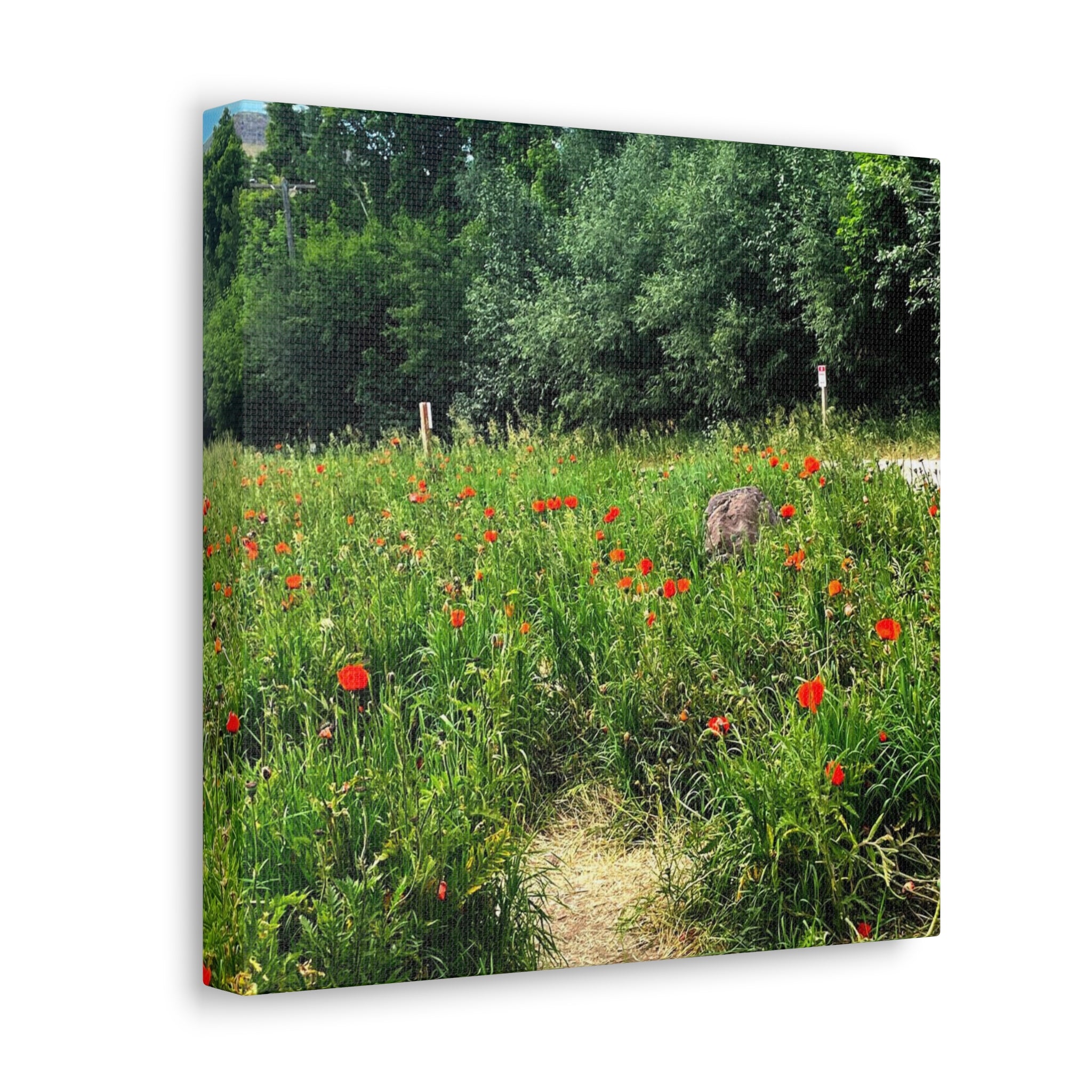 Utah Mountain Countryside Canvas Wrap