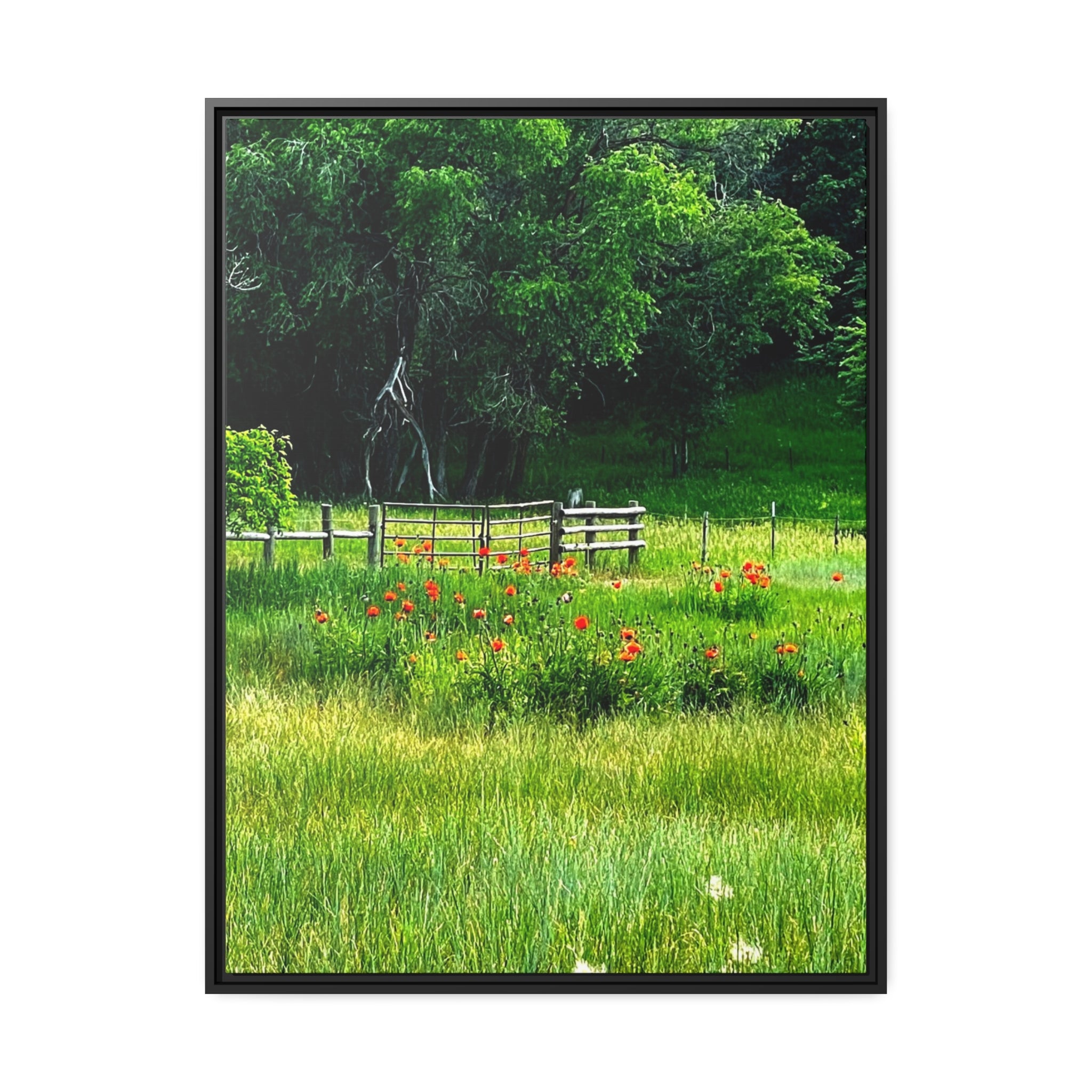 Poppy field of Utah, Matte Canvas, Black Frame