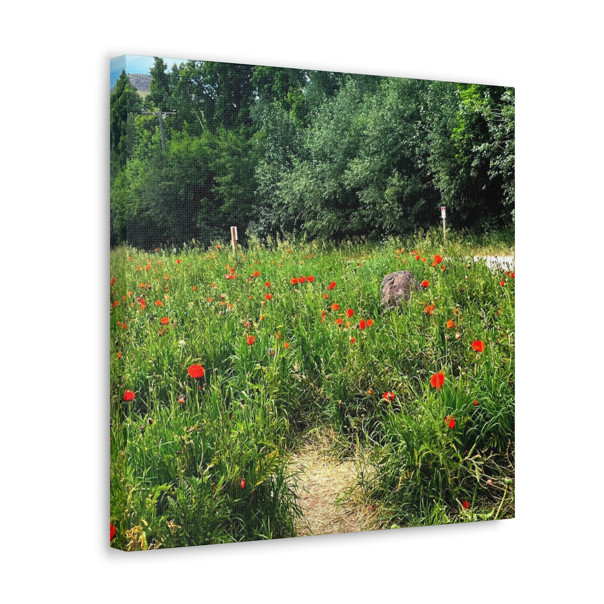 Utah Mountain Countryside Canvas Wrap