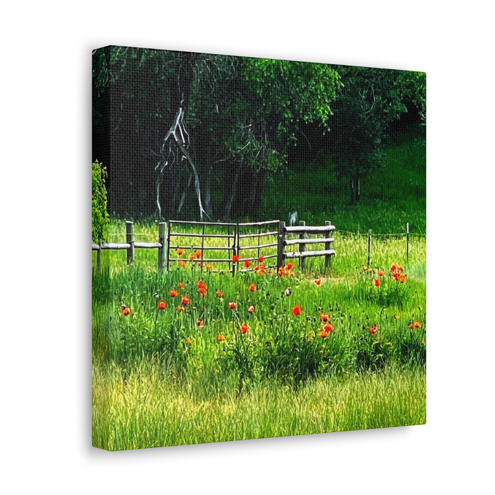 Utah Poppy Field Canvas Wrap