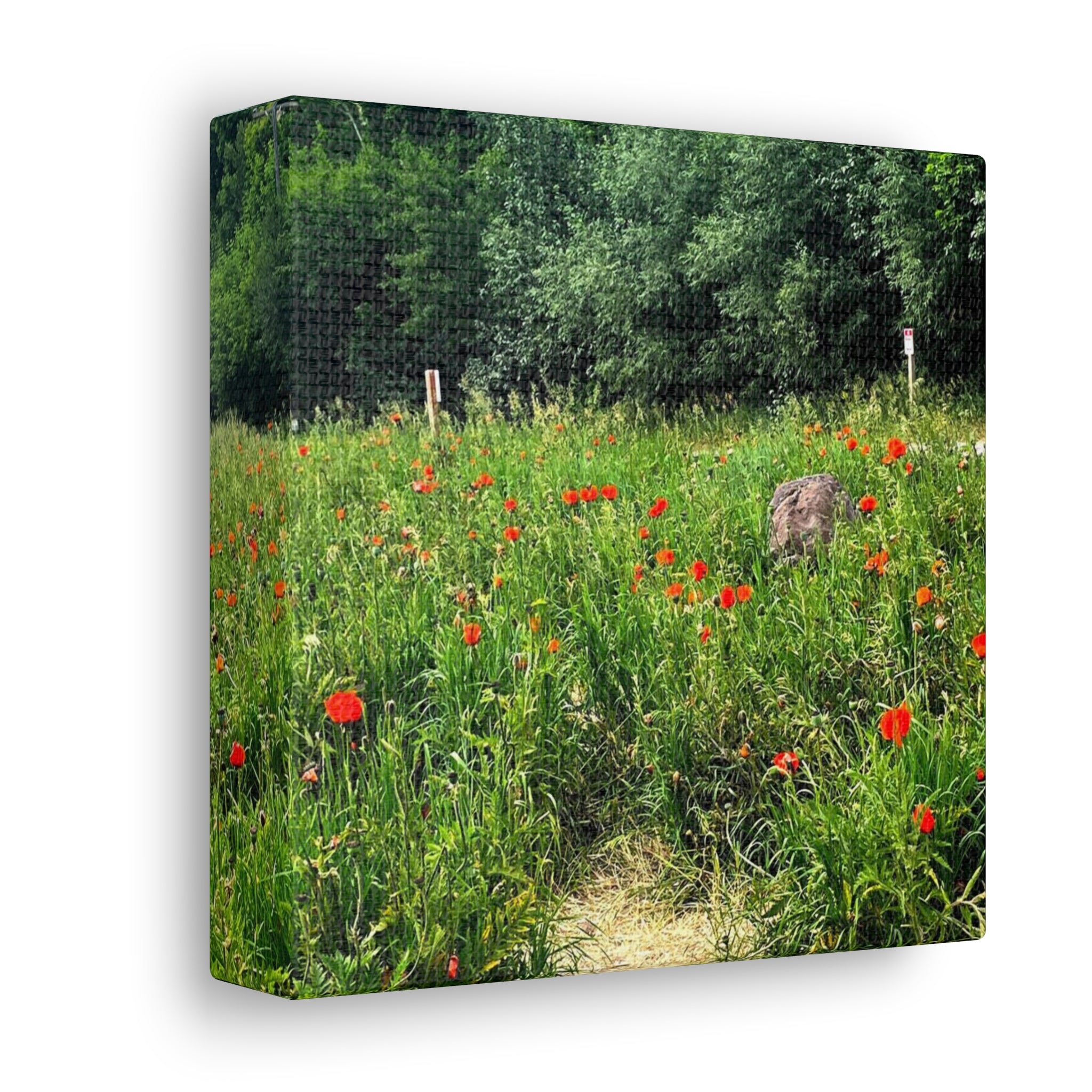 Utah Mountain Countryside Canvas Wrap