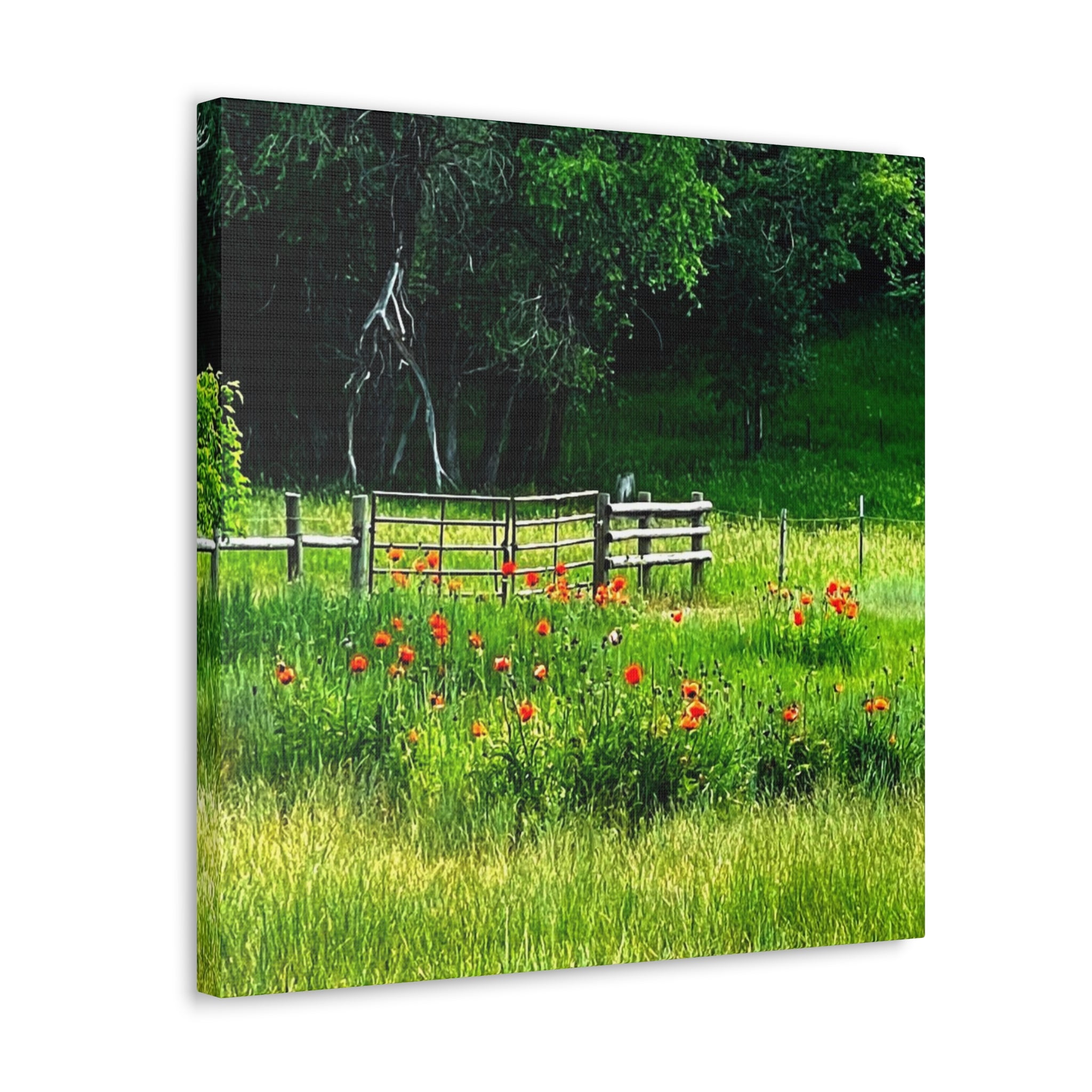 Utah Poppy Field Canvas Wrap