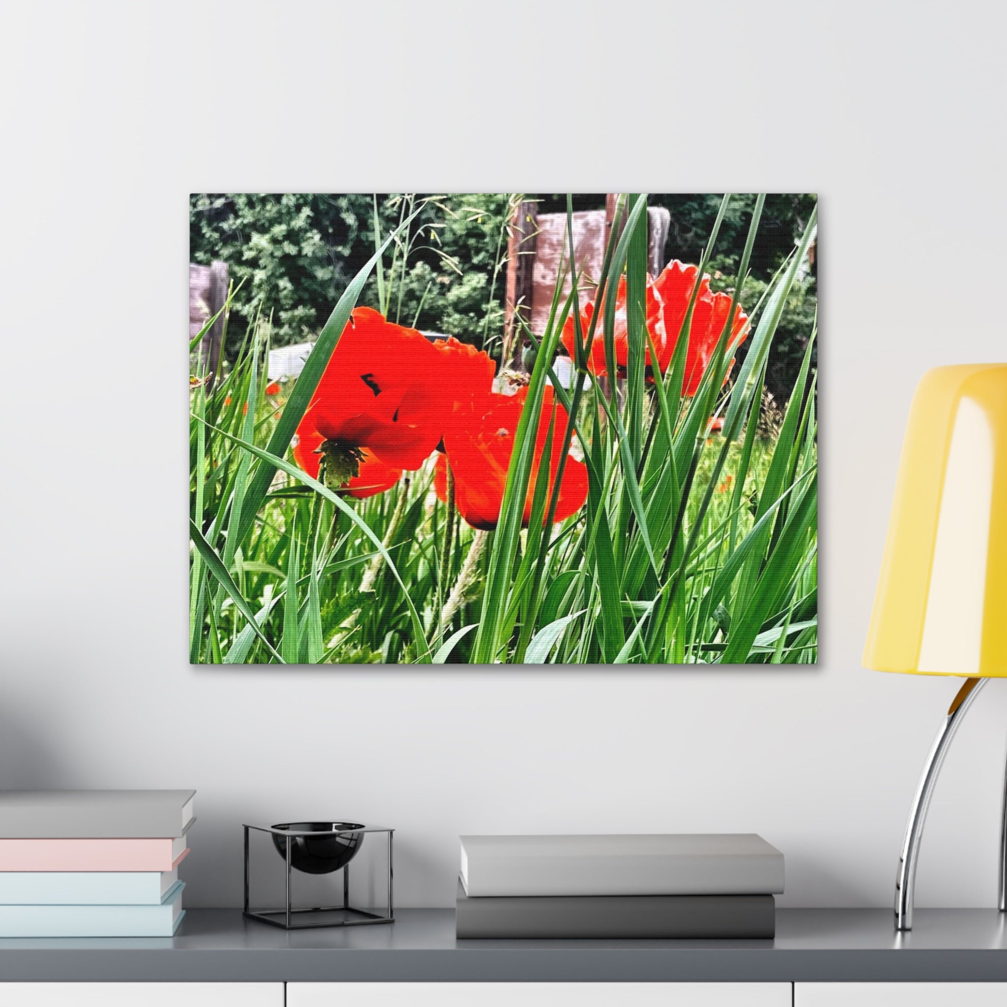 Utah Poppies Canvas Wrap