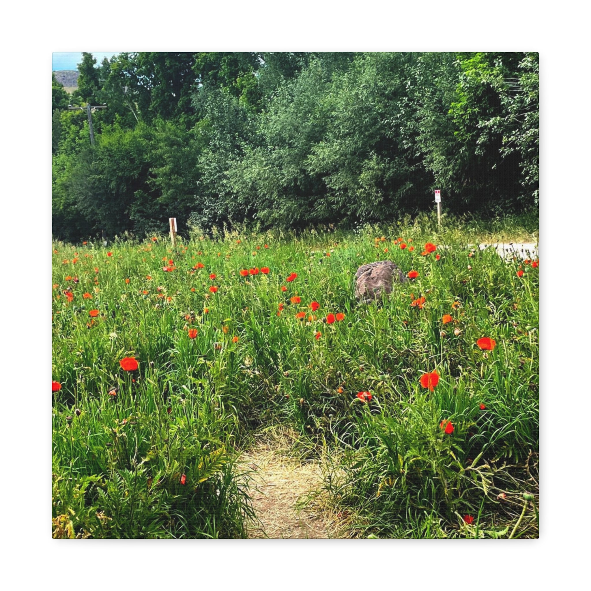 Utah Mountain Countryside Canvas Wrap