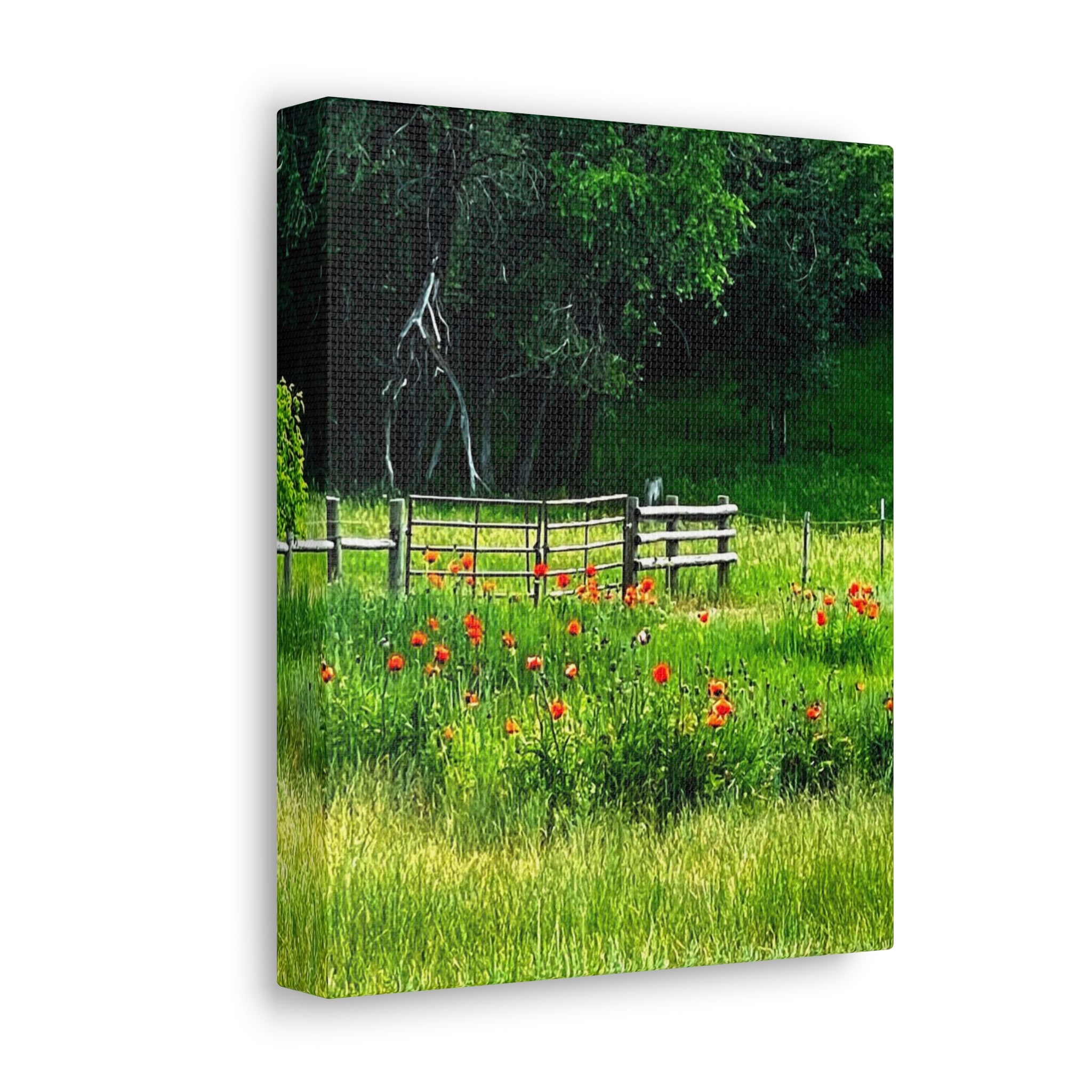 Utah Poppy Field Canvas Wrap