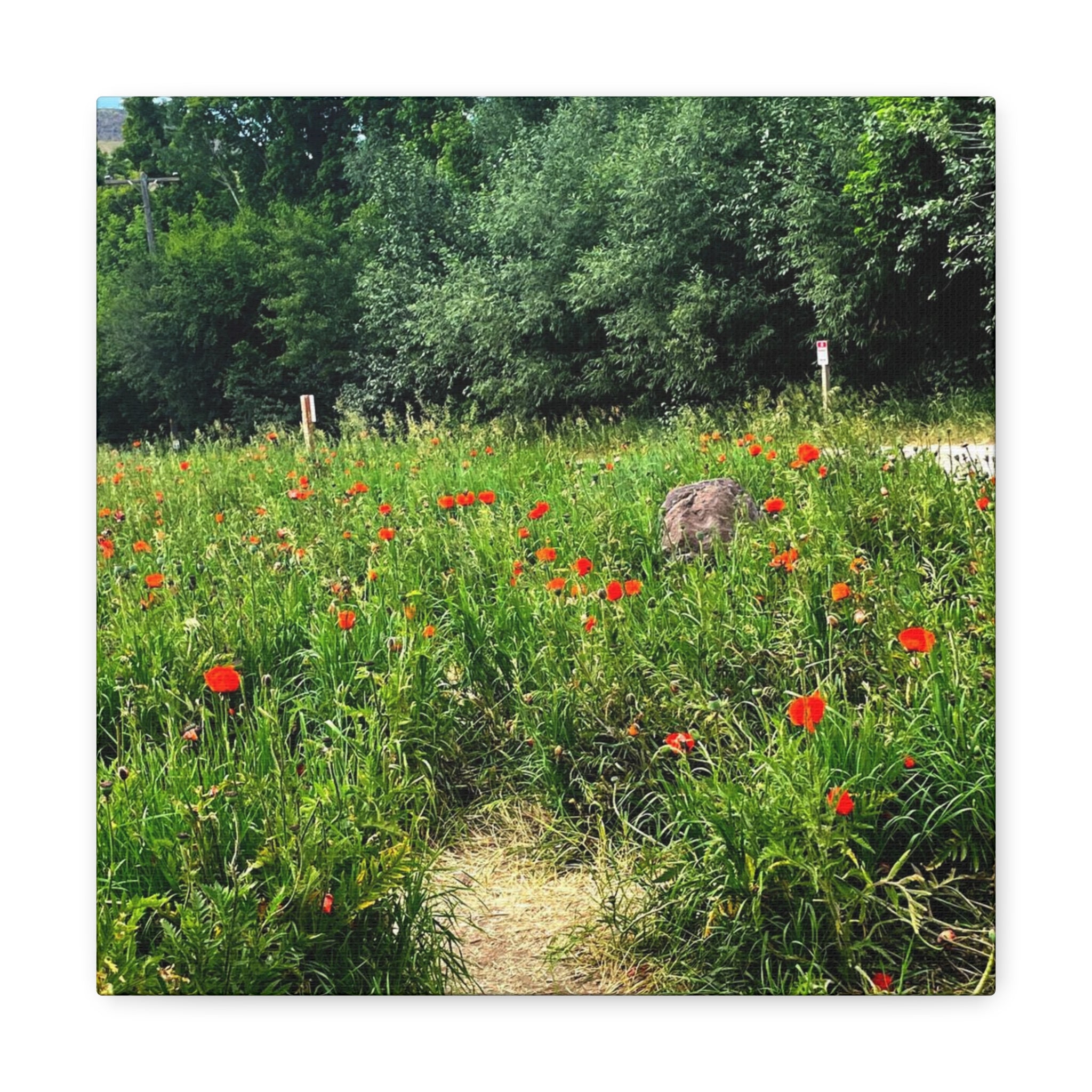 Utah Mountain Countryside Canvas Wrap