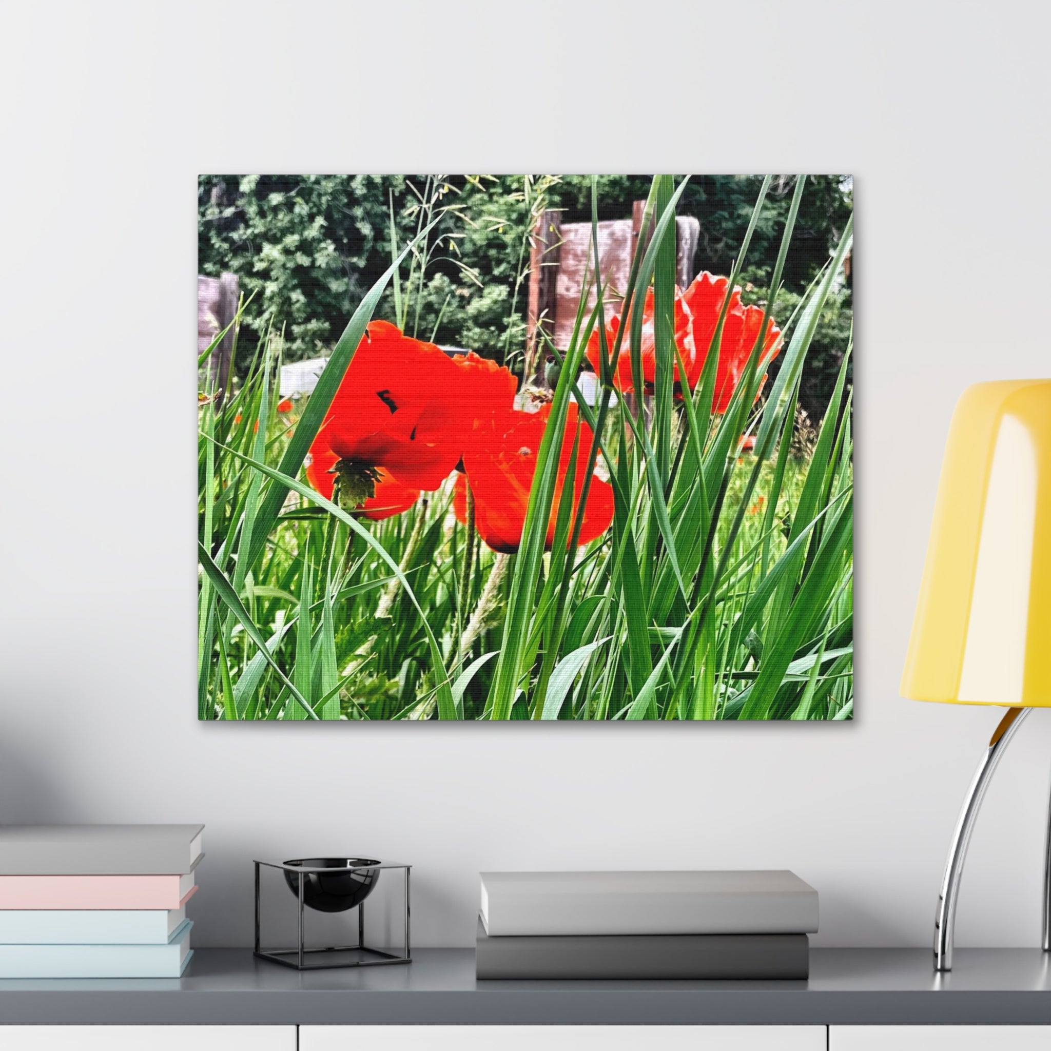 Utah Poppies Canvas Wrap