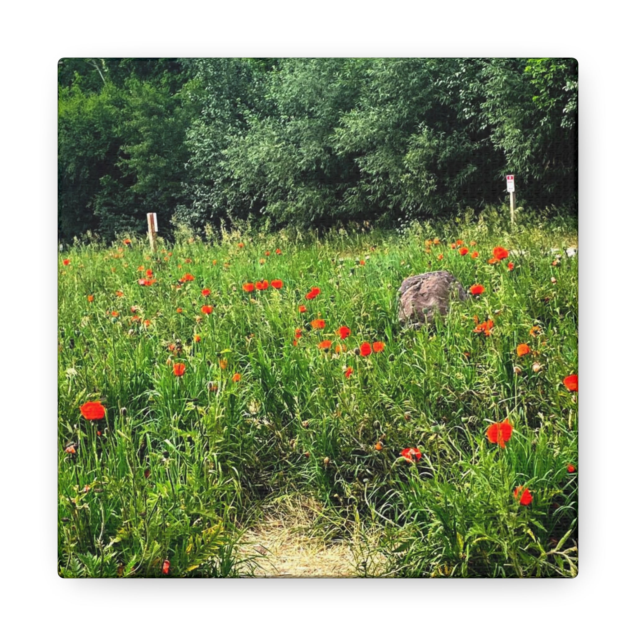 Utah Mountain Countryside Canvas Wrap