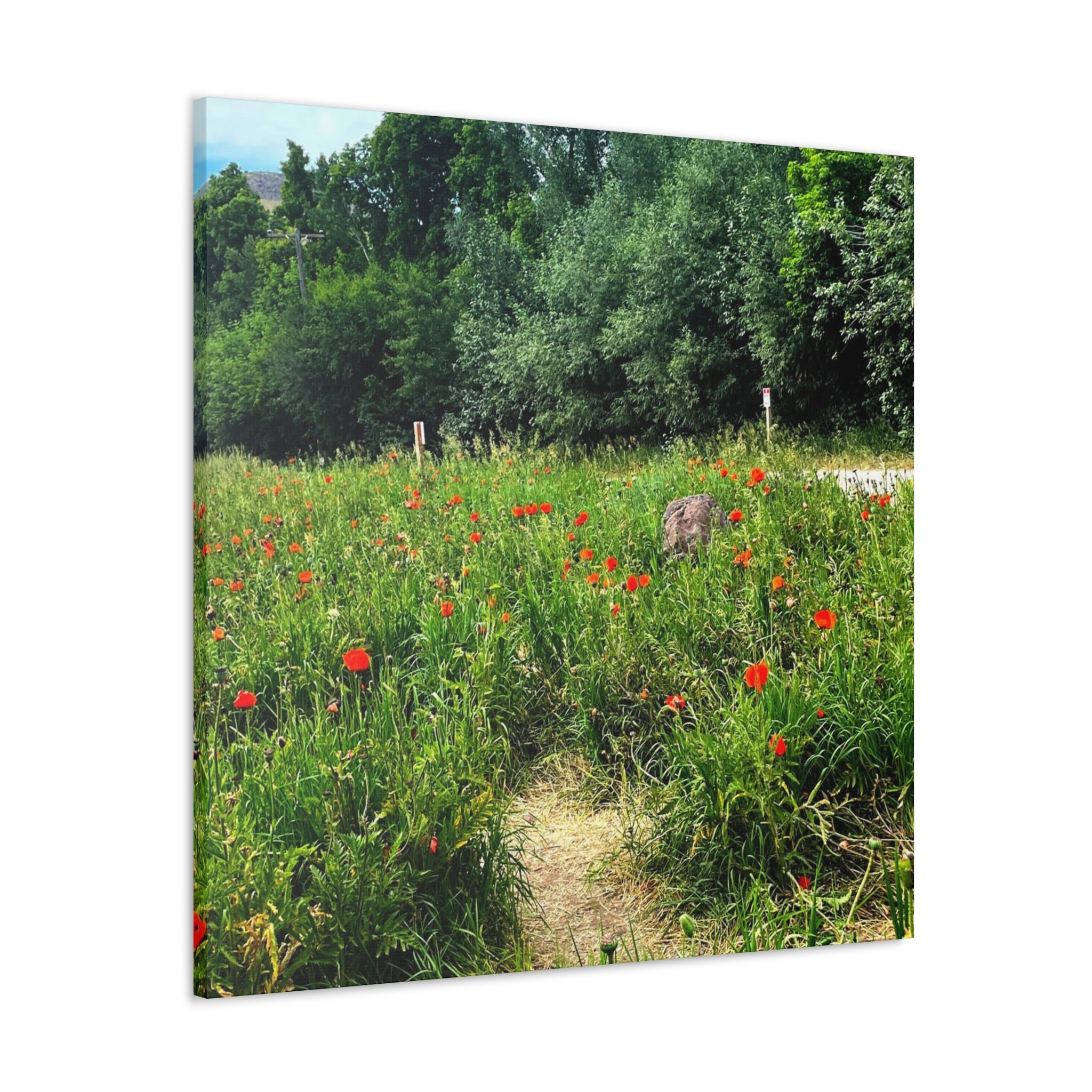 Utah Mountain Countryside Canvas Wrap