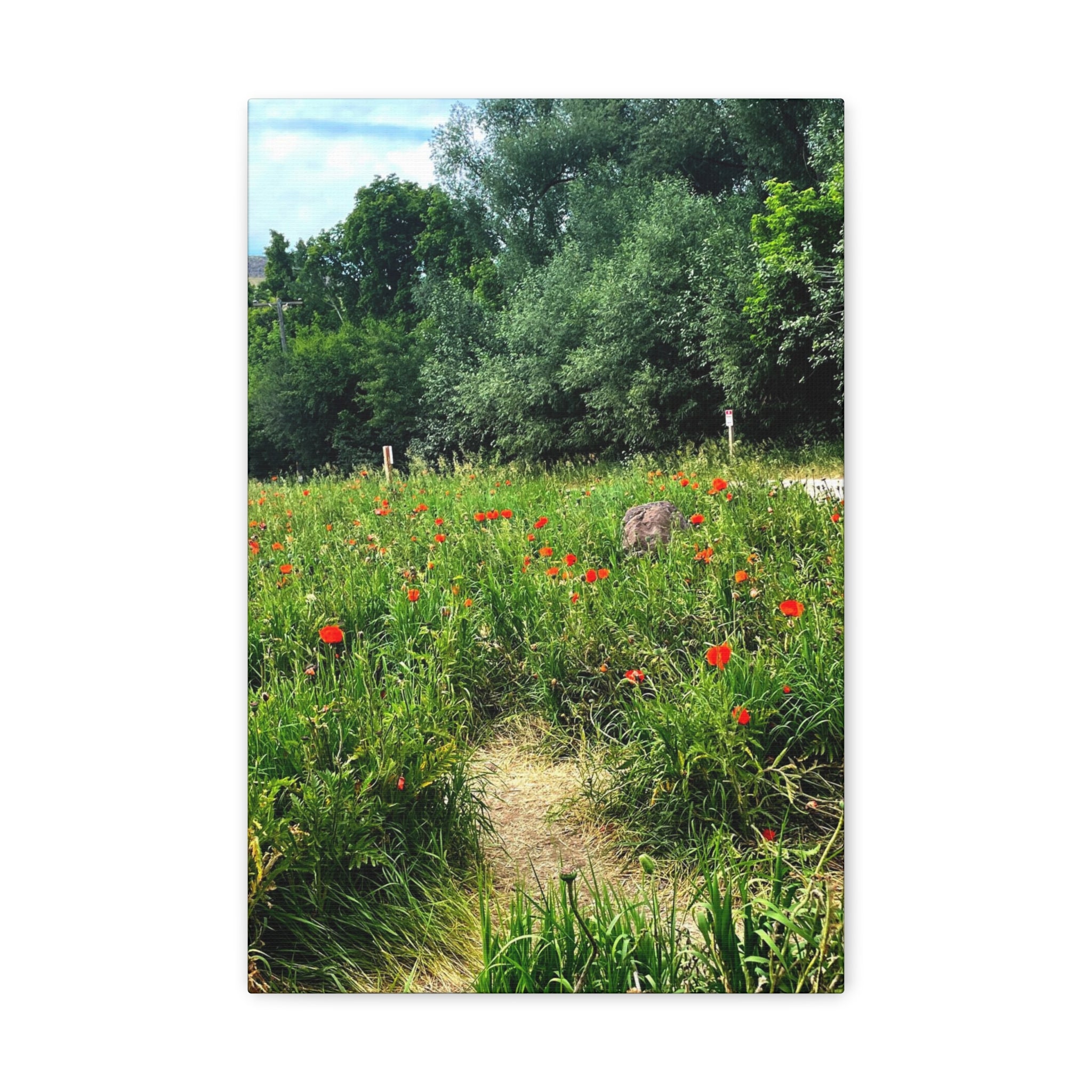 Utah Mountain Countryside Canvas Wrap