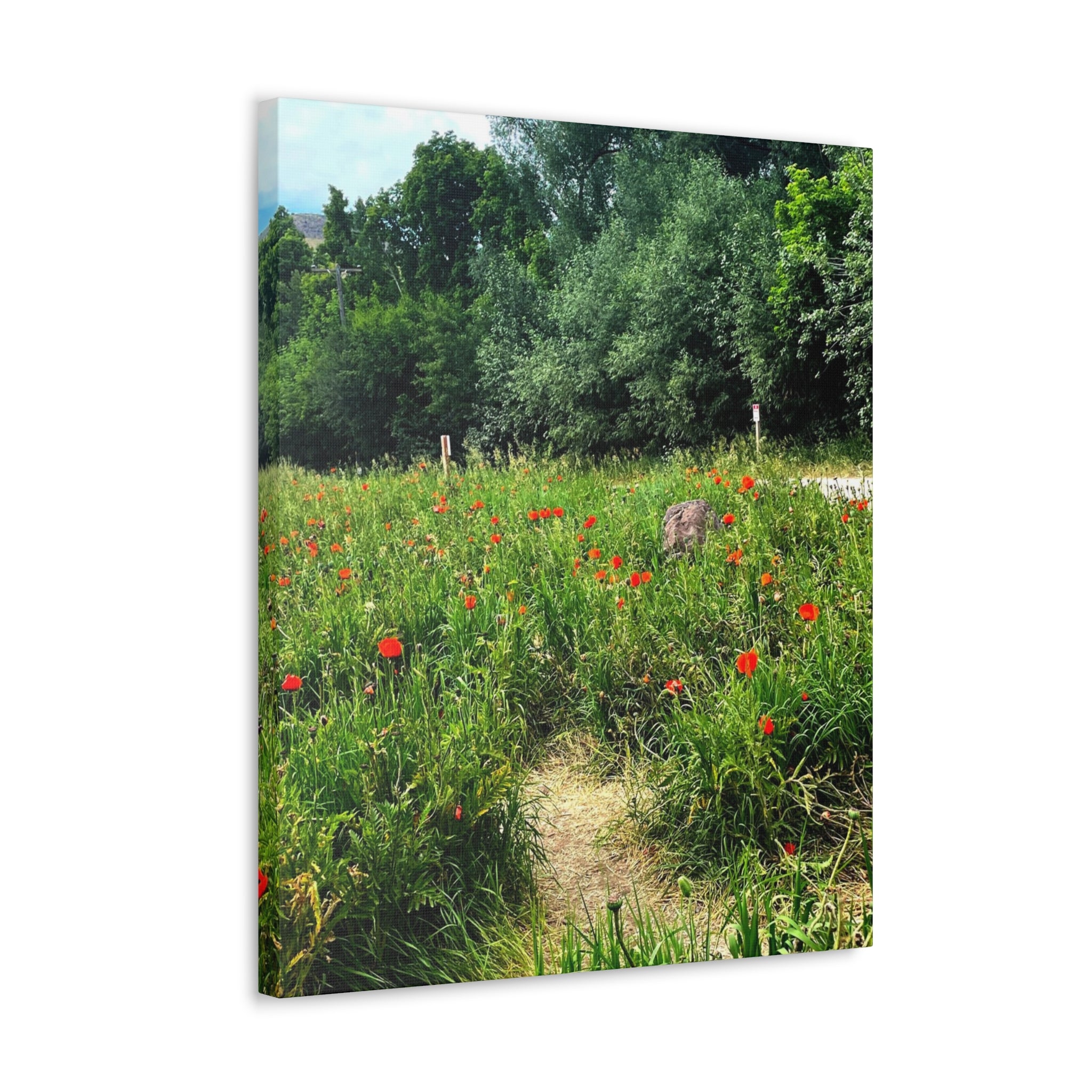 Utah Mountain Countryside Canvas Wrap