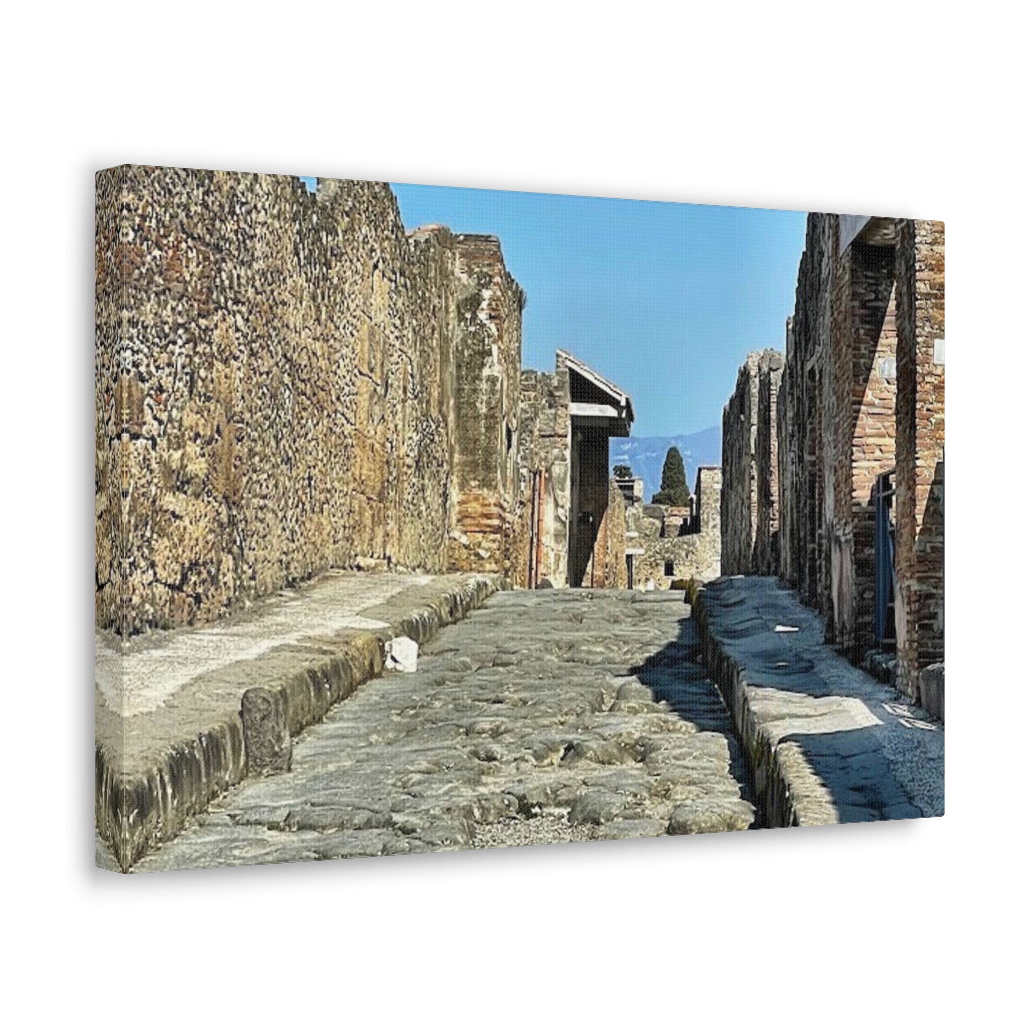 Pompeii Italy Canvas Wrap