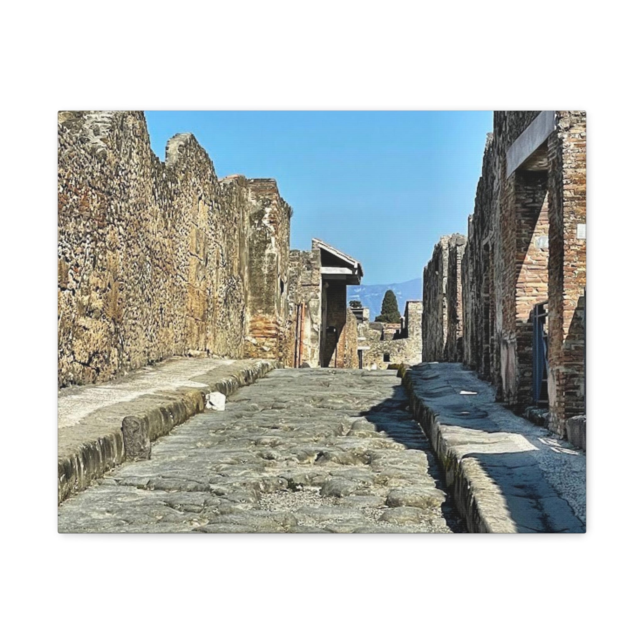 Pompeii Italy Canvas Wrap