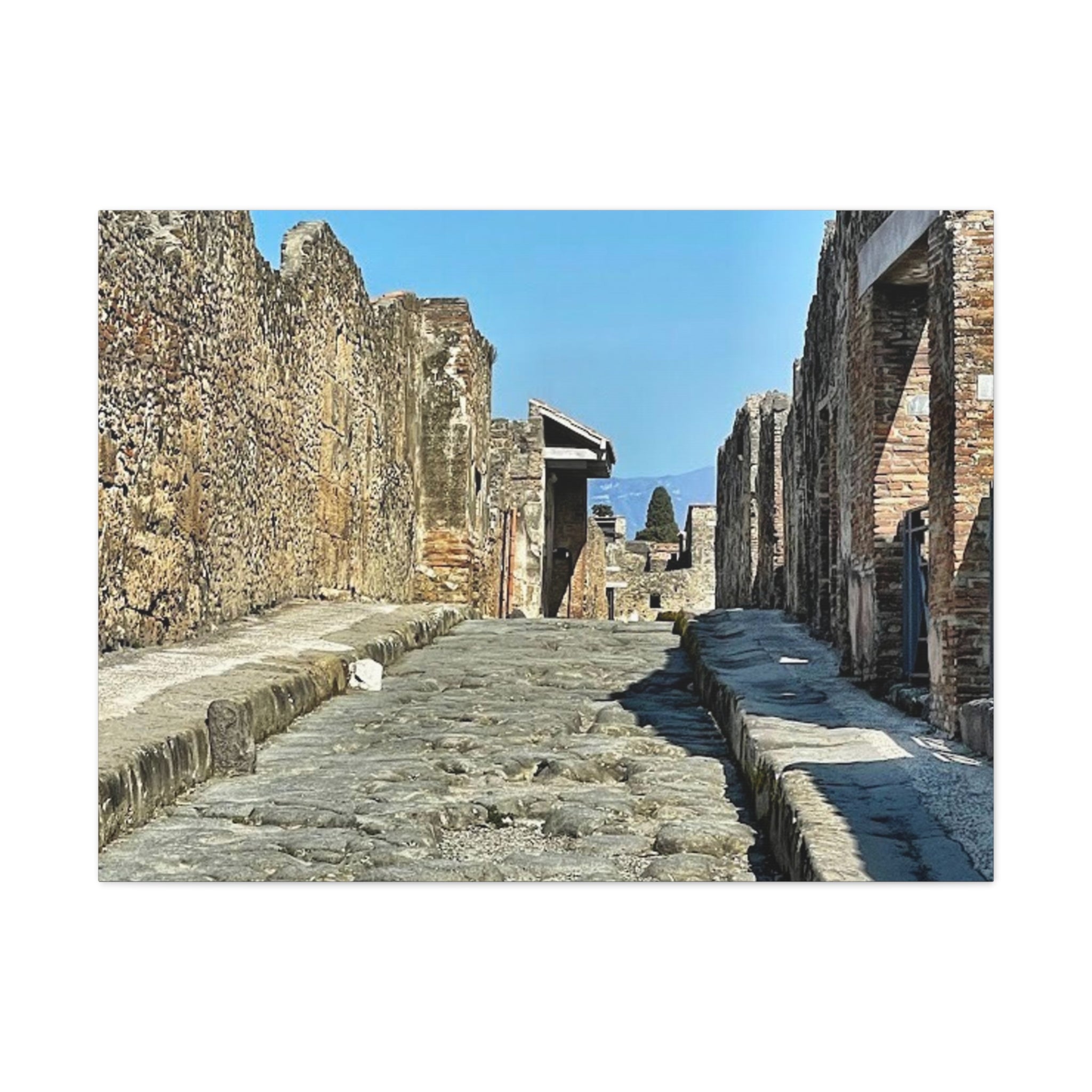 Pompeii Italy Canvas Wrap