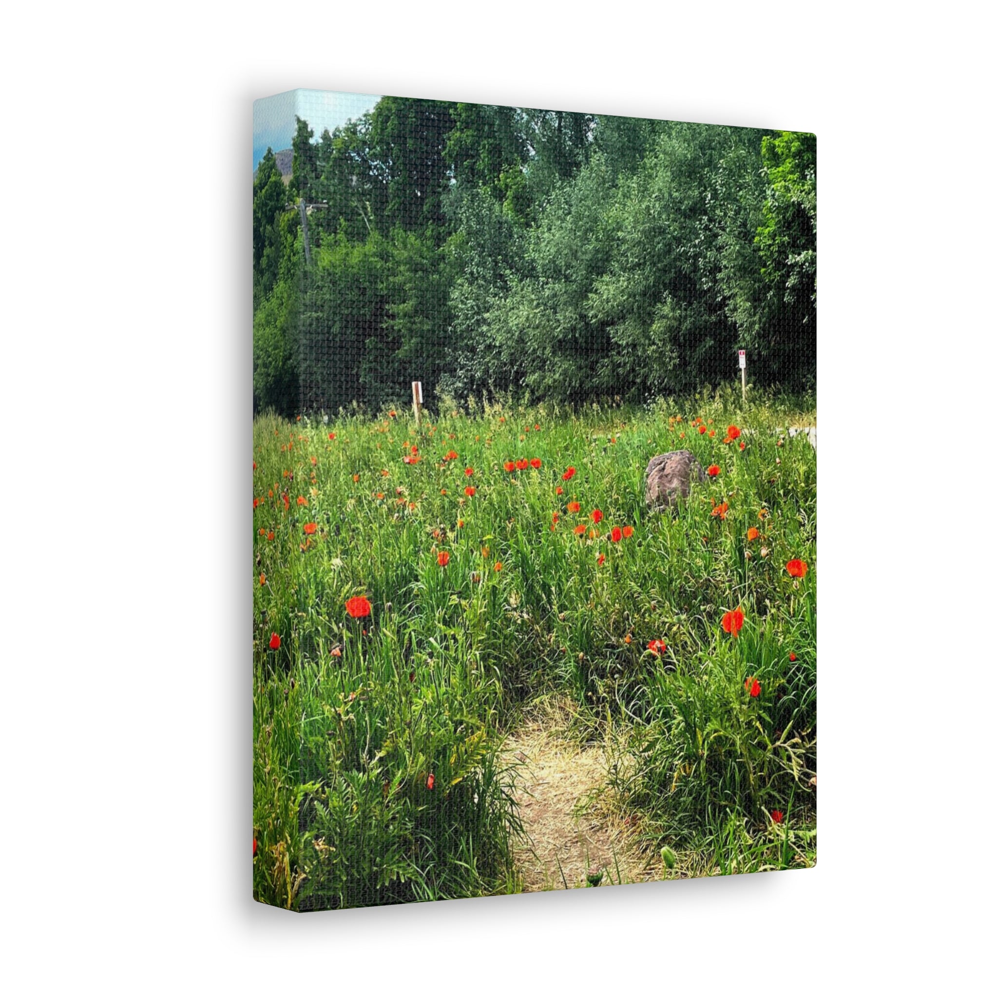 Utah Mountain Countryside Canvas Wrap