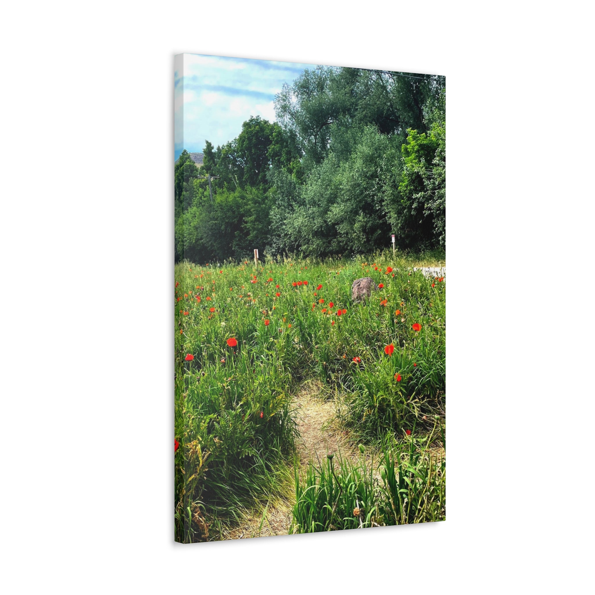 Utah Mountain Countryside Canvas Wrap