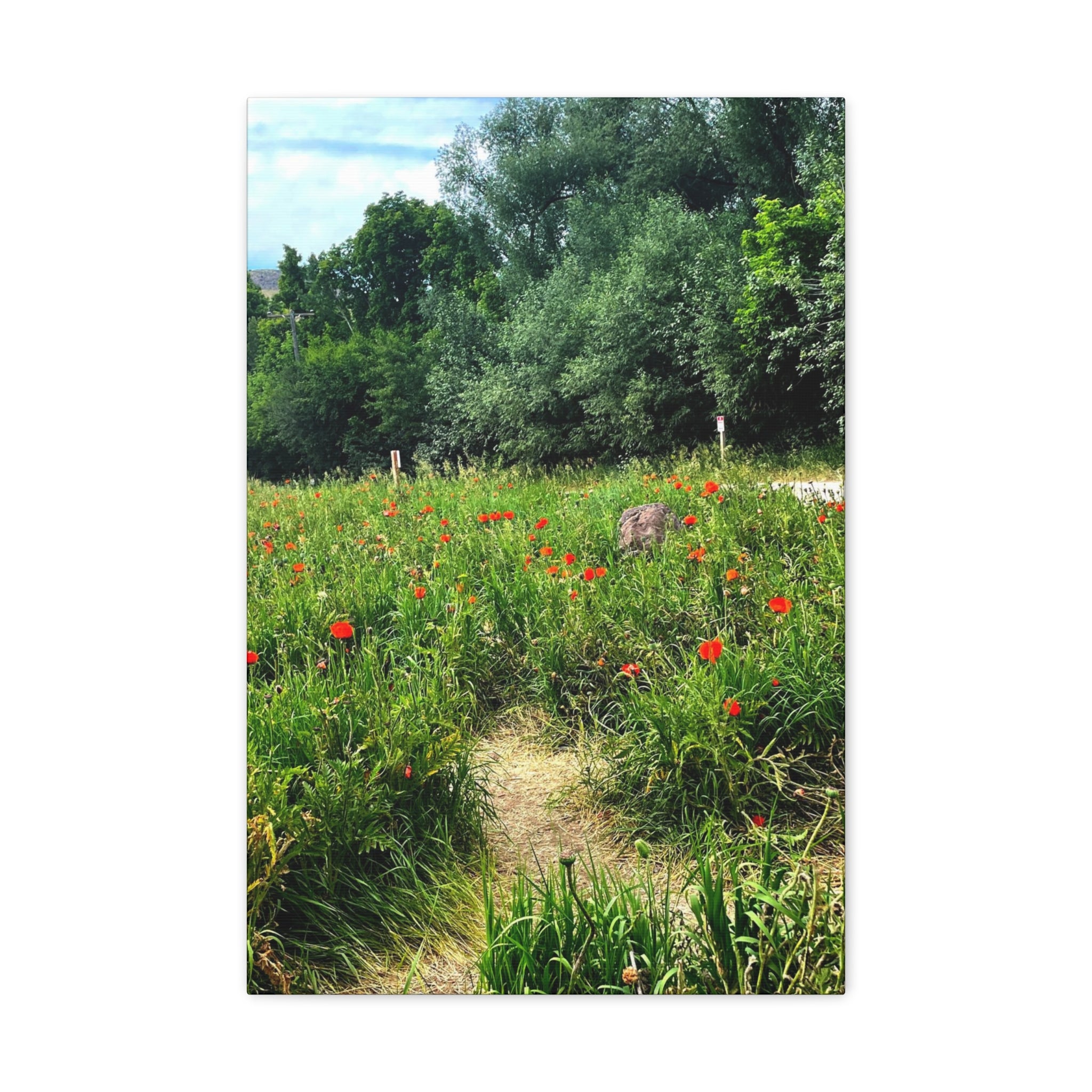 Utah Mountain Countryside Canvas Wrap