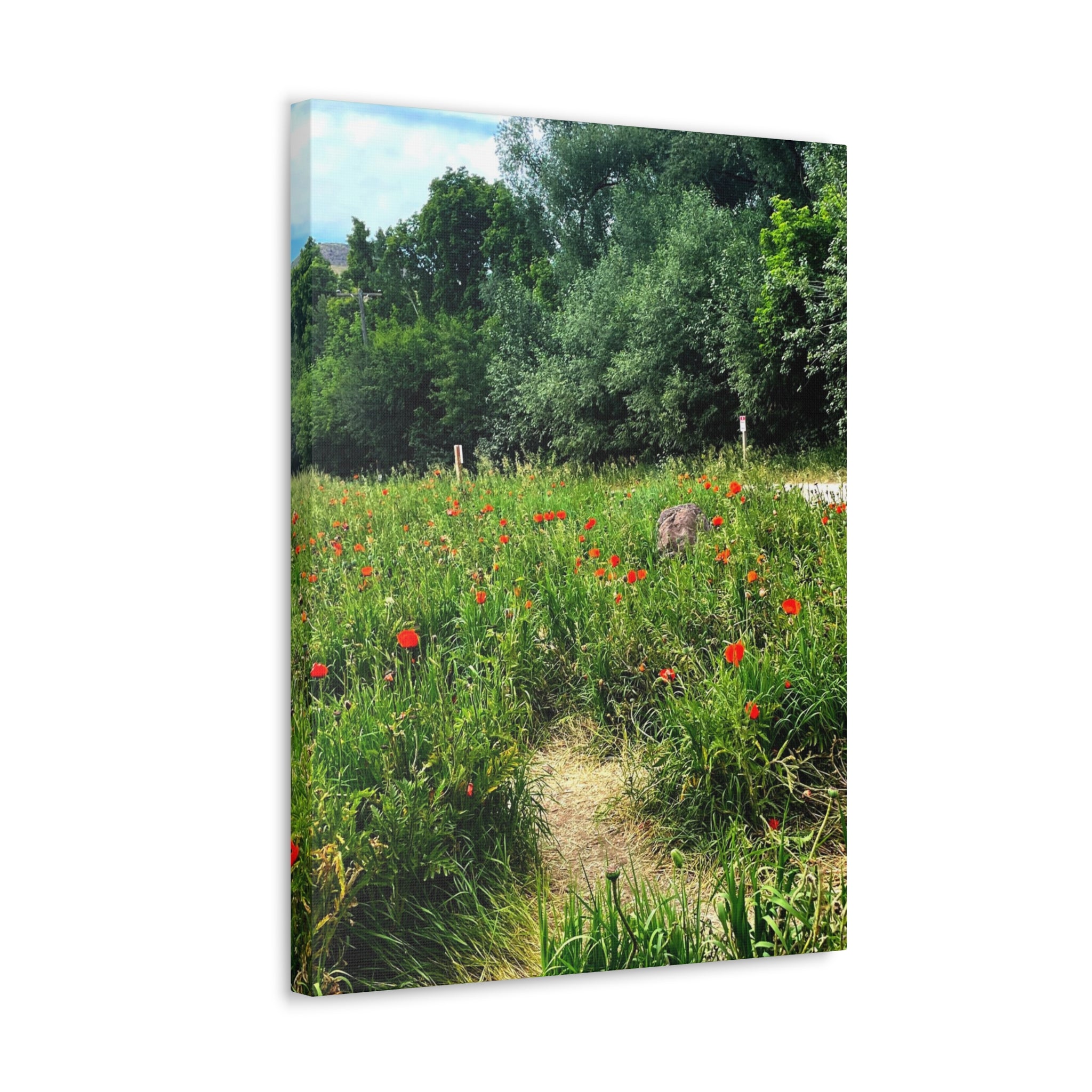 Utah Mountain Countryside Canvas Wrap