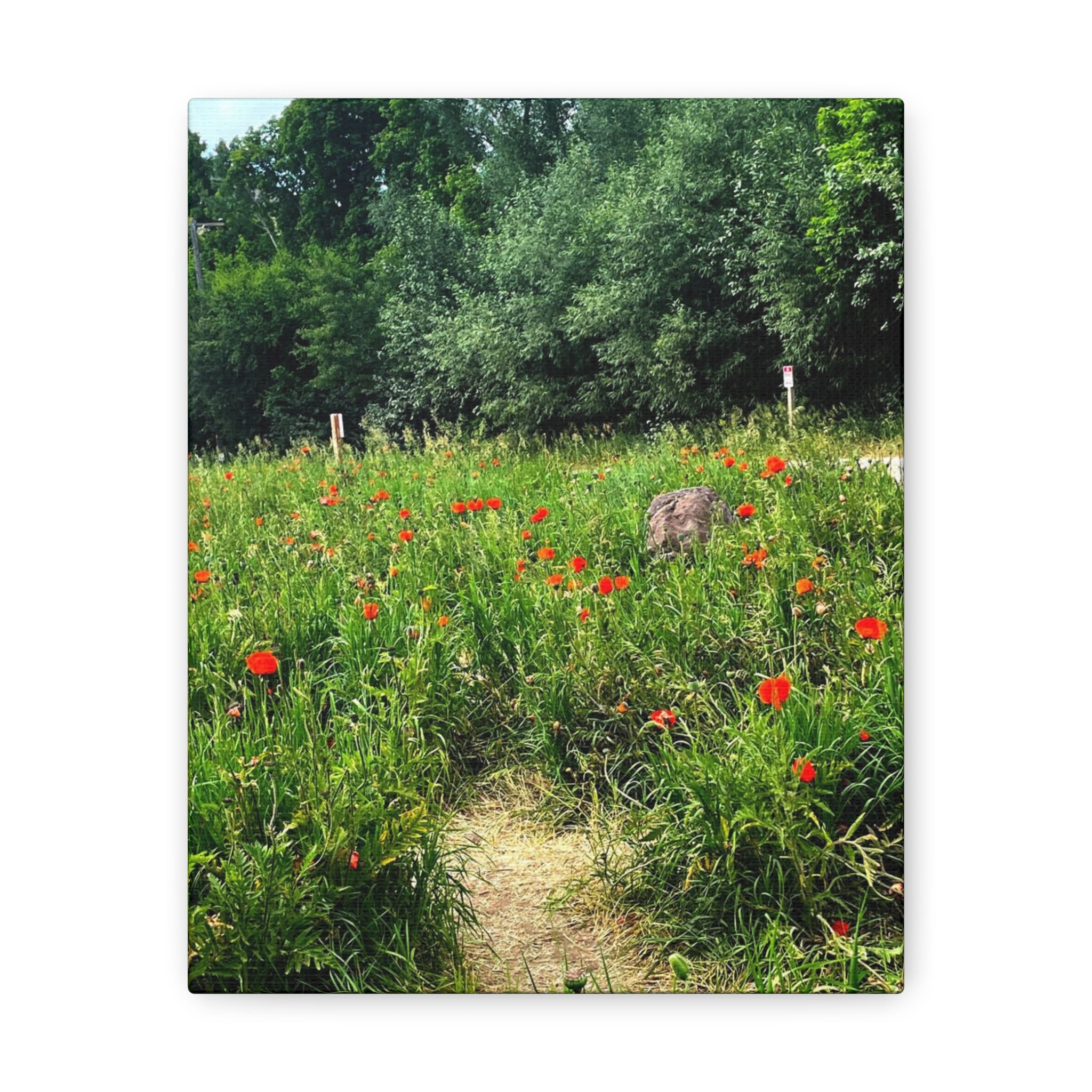 Utah Mountain Countryside Canvas Wrap