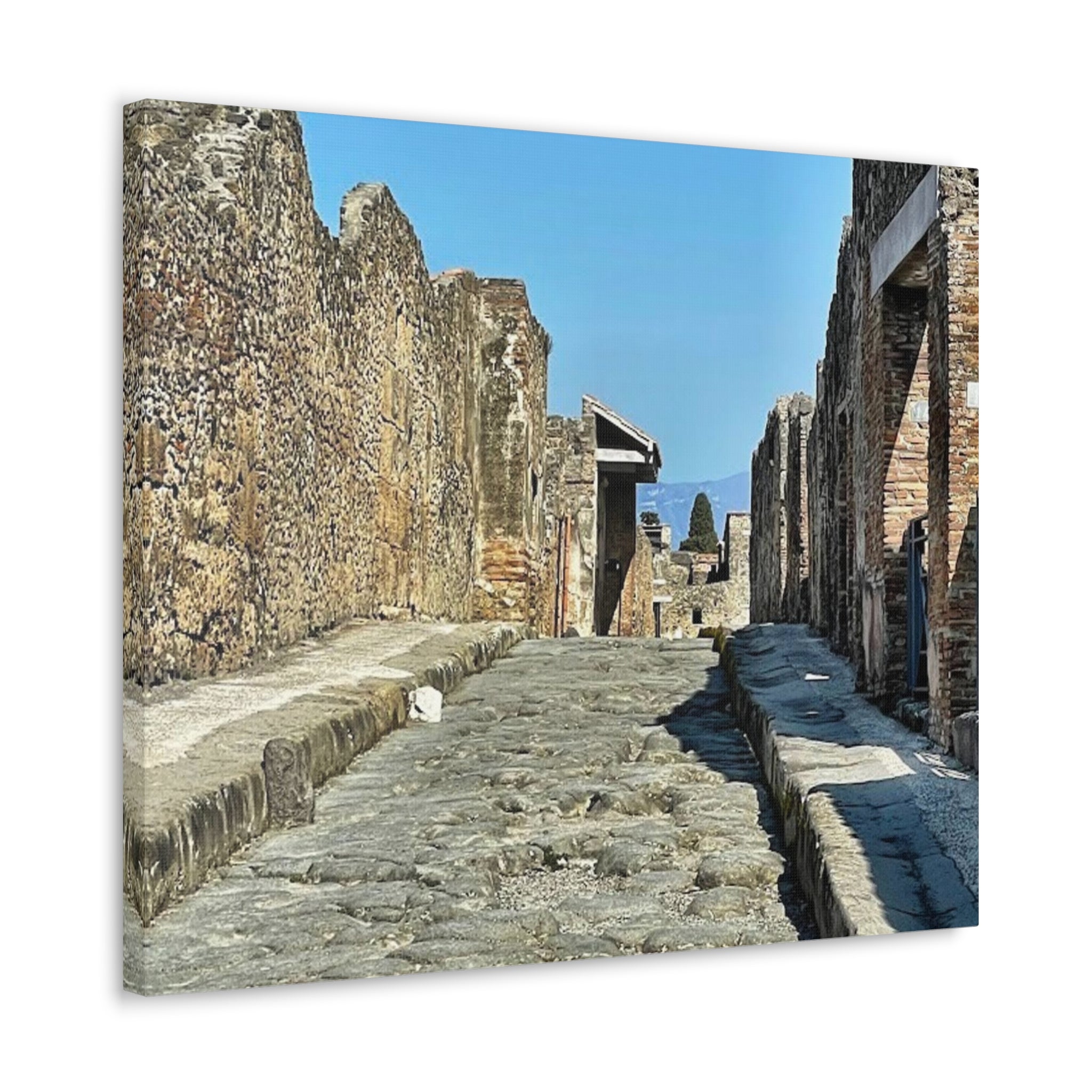 Pompeii Italy Canvas Wrap