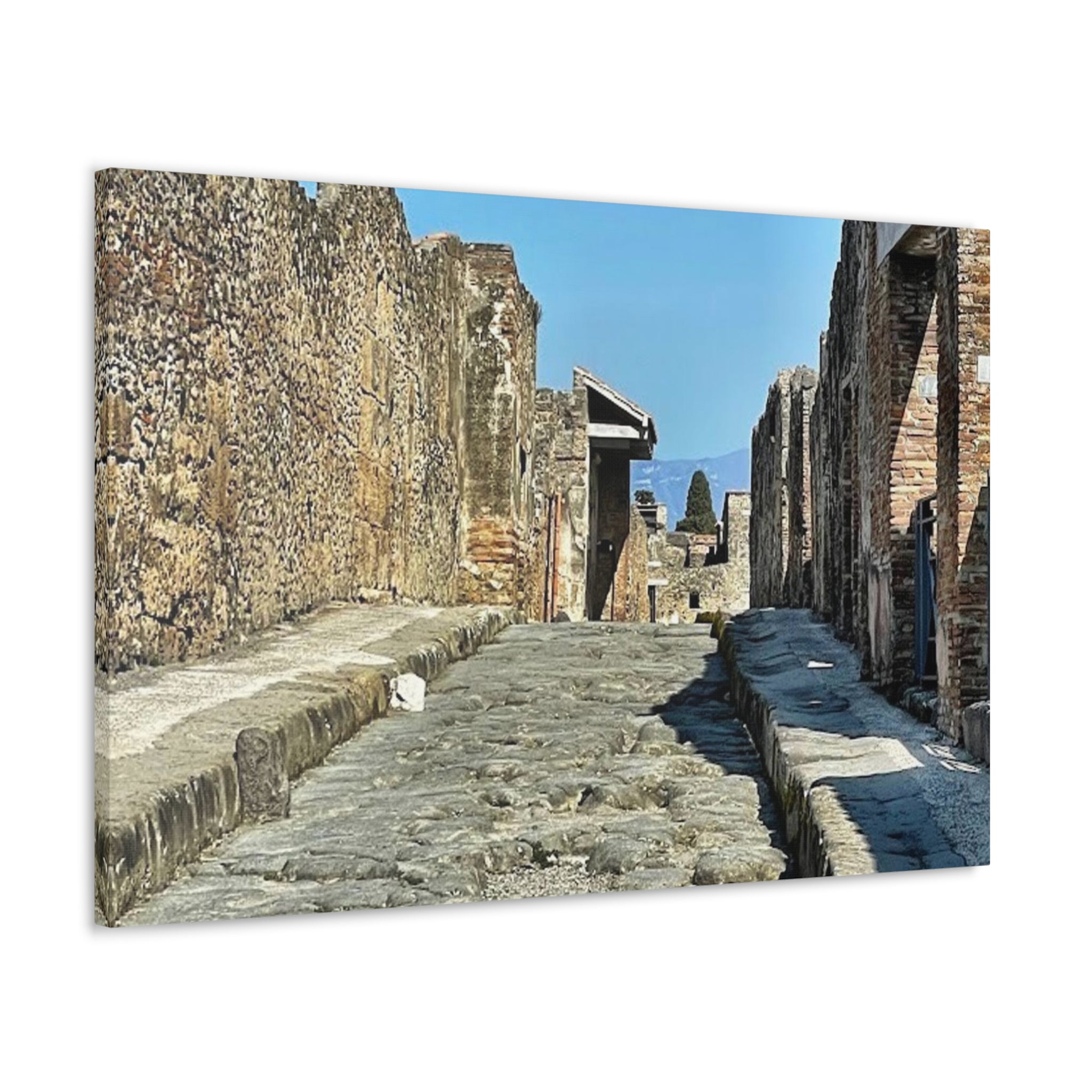 Pompeii Italy Canvas Wrap