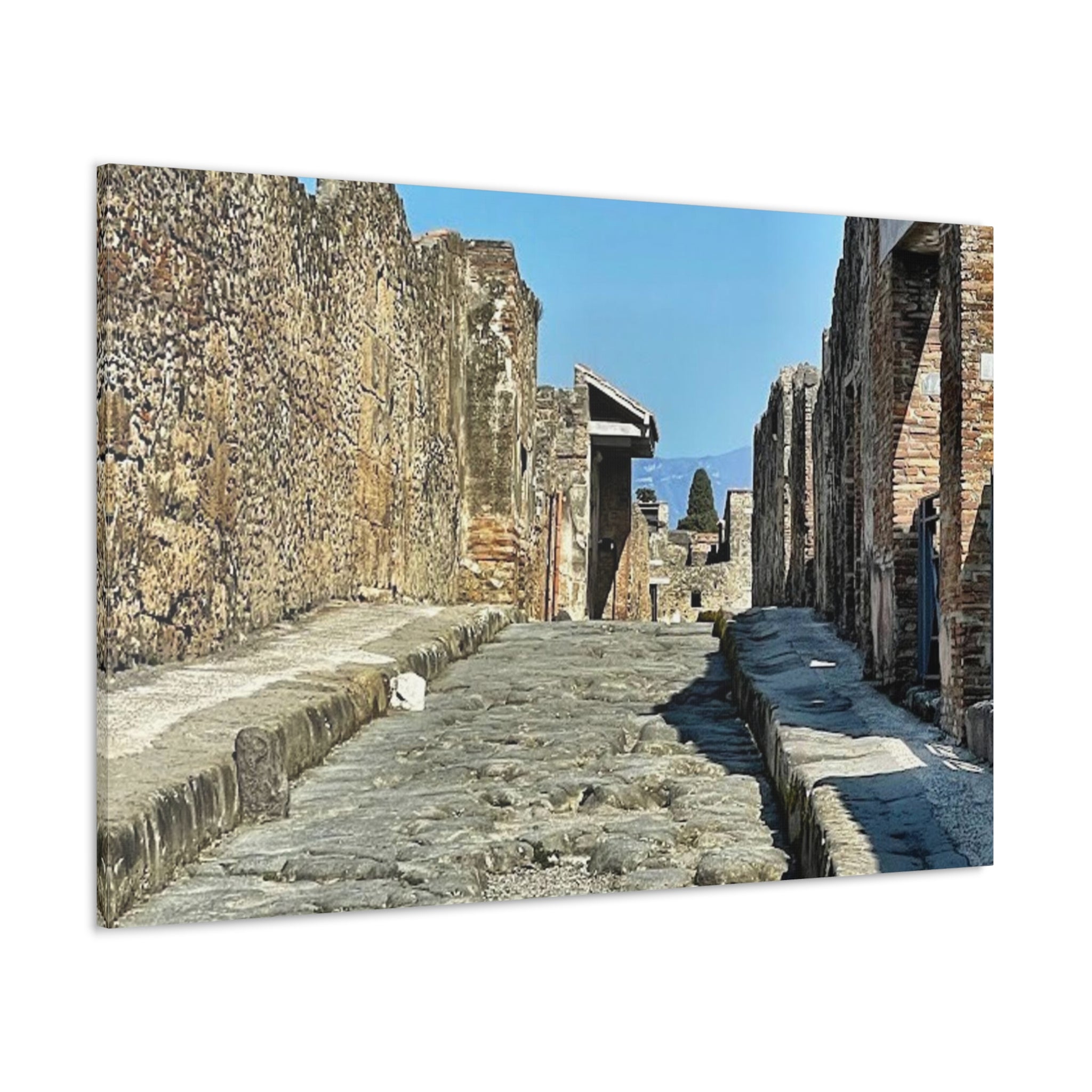 Pompeii Italy Canvas Wrap