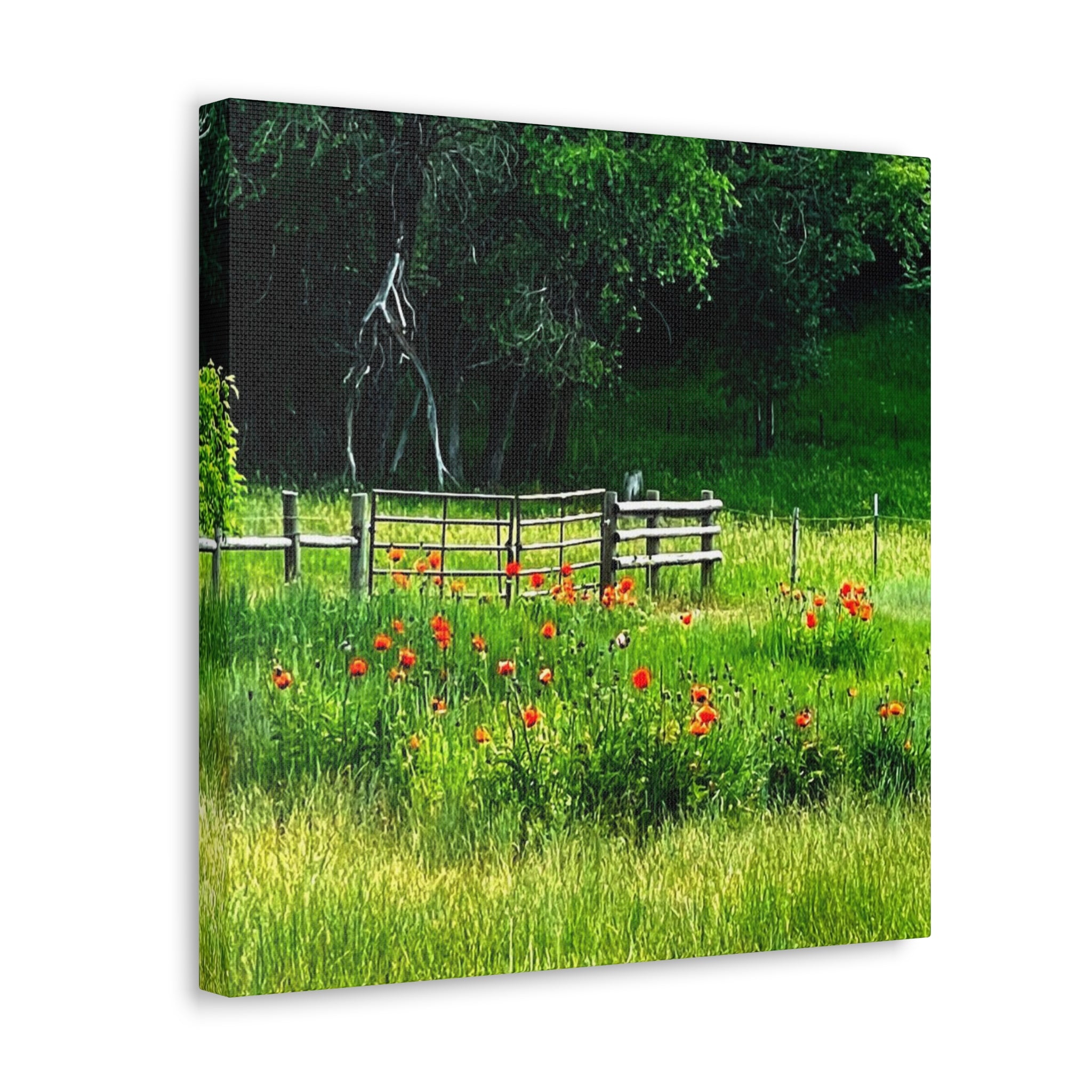 Utah Poppy Field Canvas Wrap