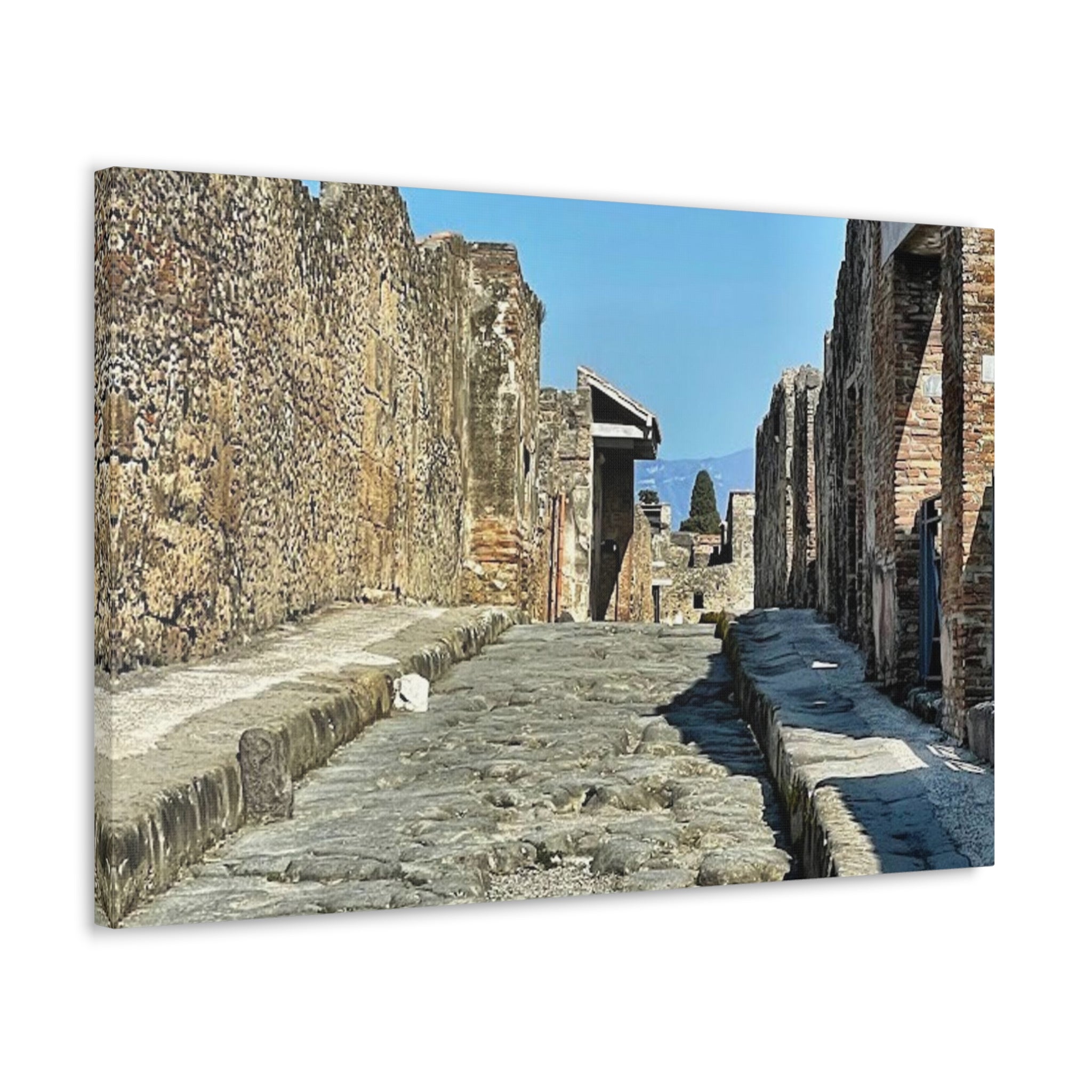 Pompeii Italy Canvas Wrap