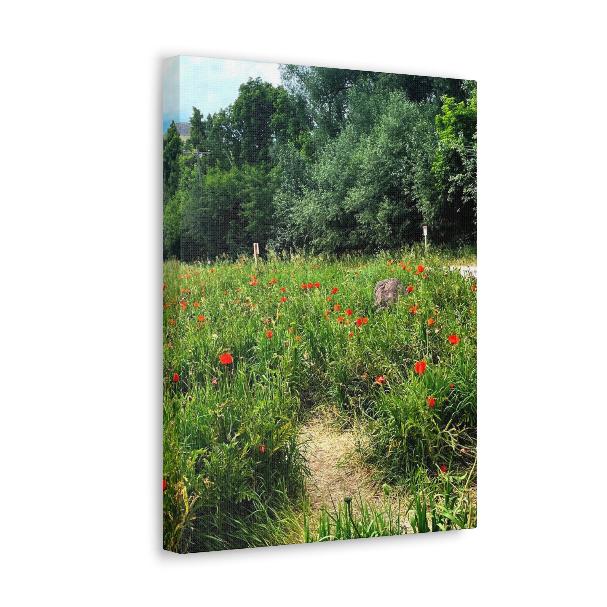 Utah Mountain Countryside Canvas Wrap