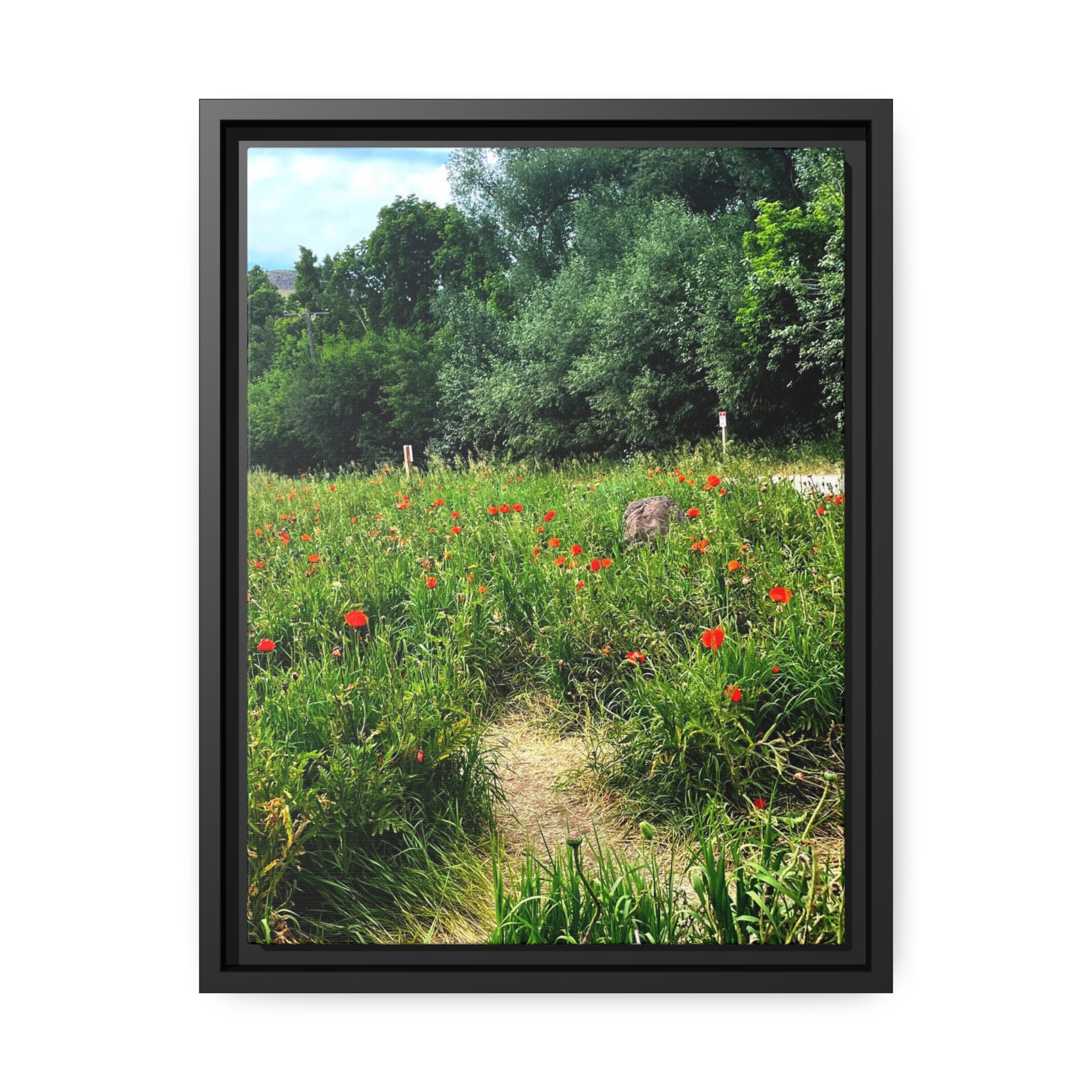 Poppy fields of Utah Matte Canvas, Black Frame
