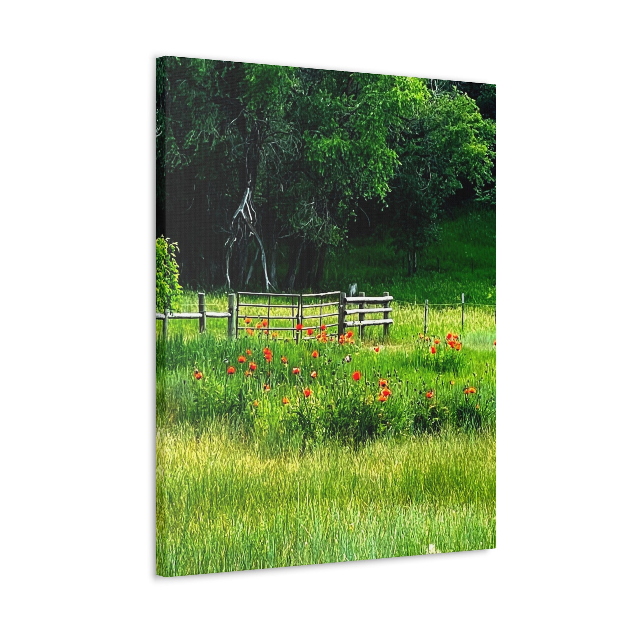 Utah Poppy Field Canvas Wrap