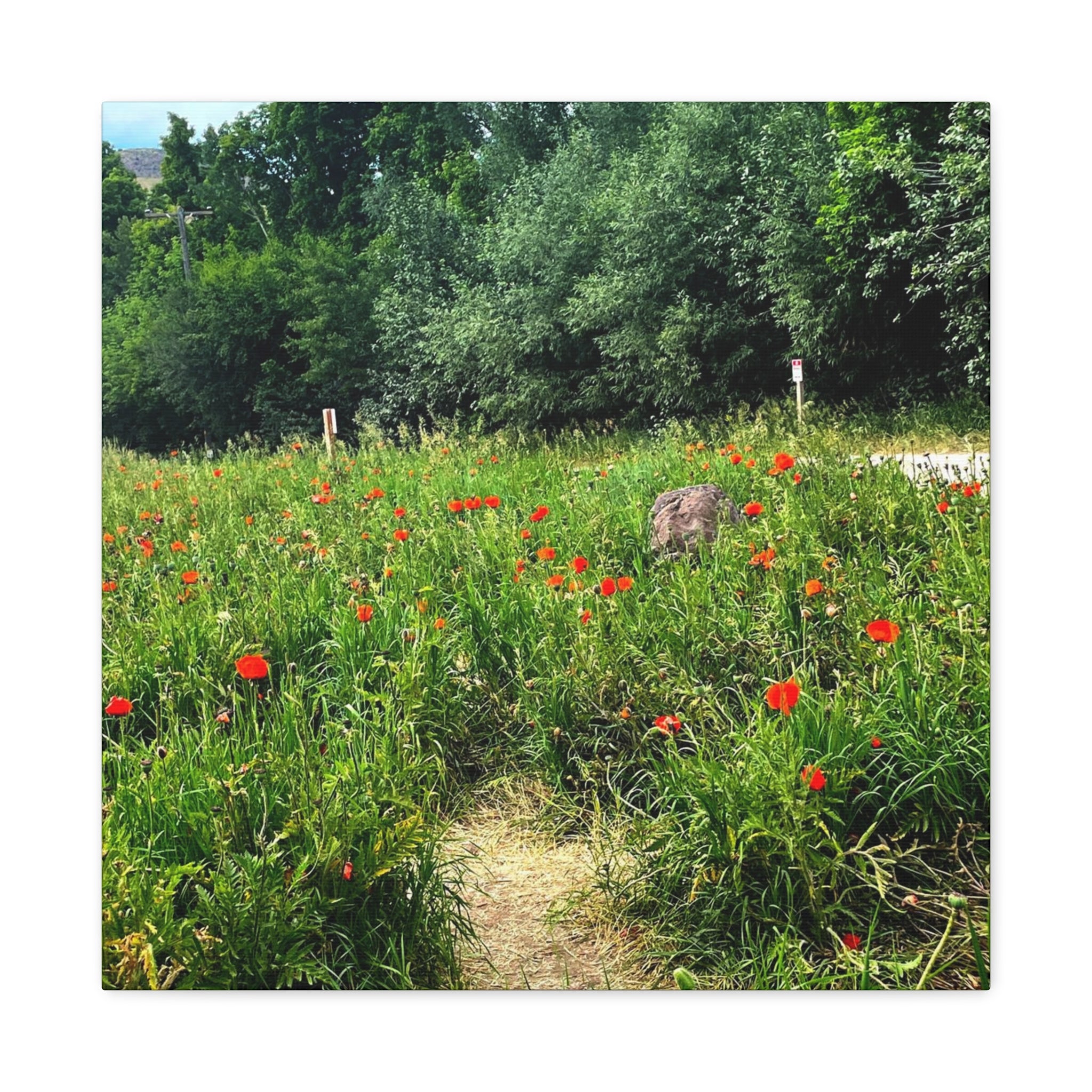 Utah Mountain Countryside Canvas Wrap