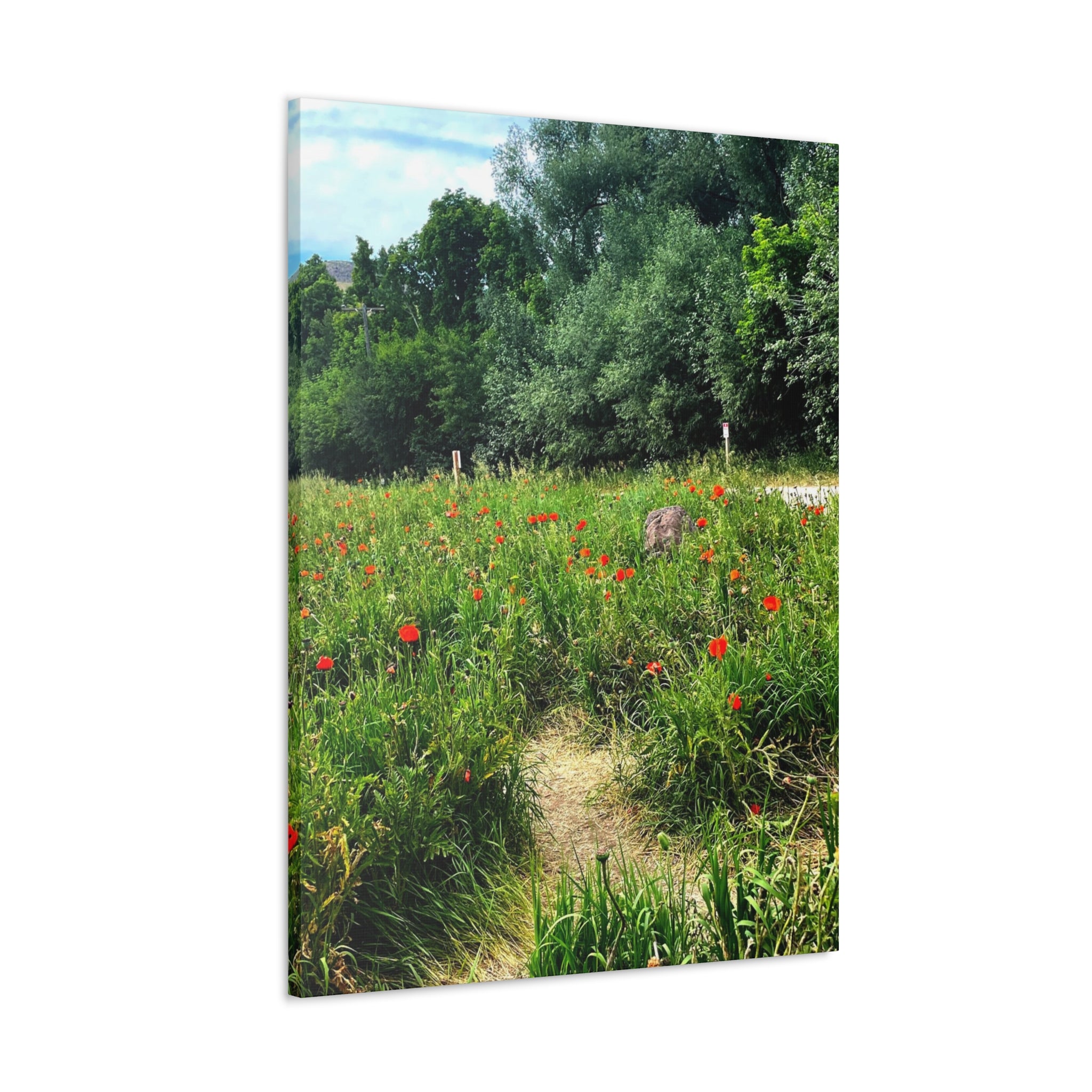 Utah Mountain Countryside Canvas Wrap