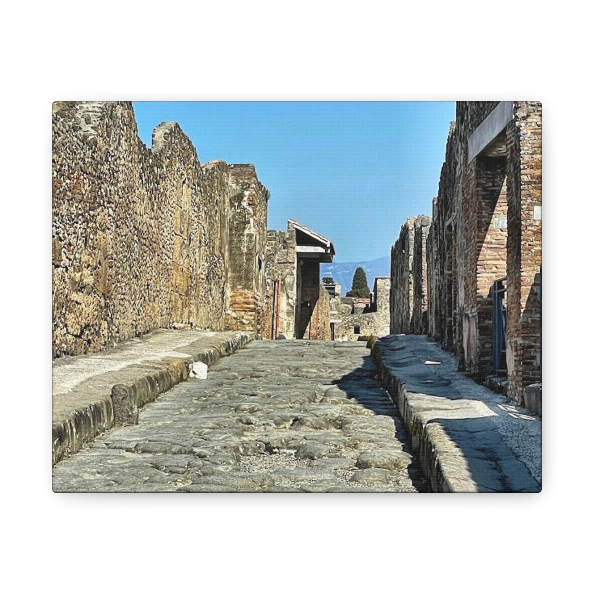 Pompeii Italy Canvas Wrap