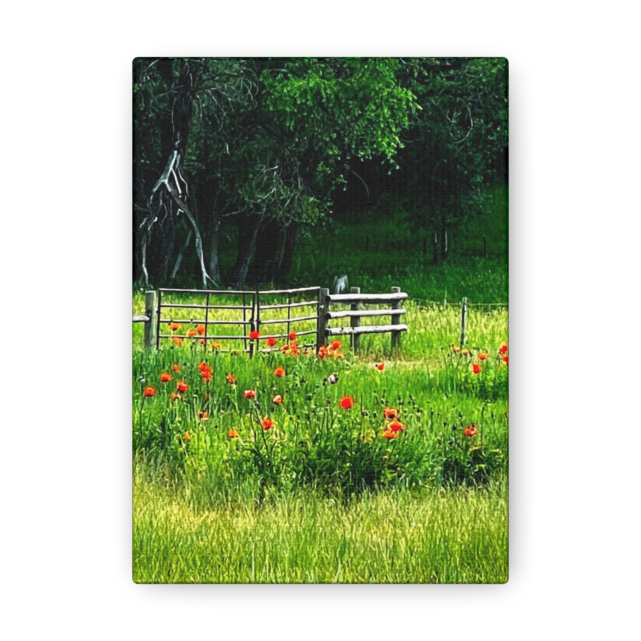 Utah Poppy Field Canvas Wrap