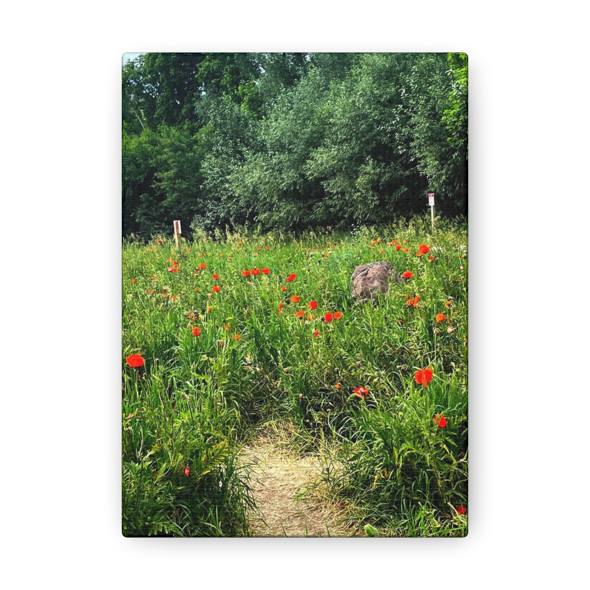 Utah Mountain Countryside Canvas Wrap