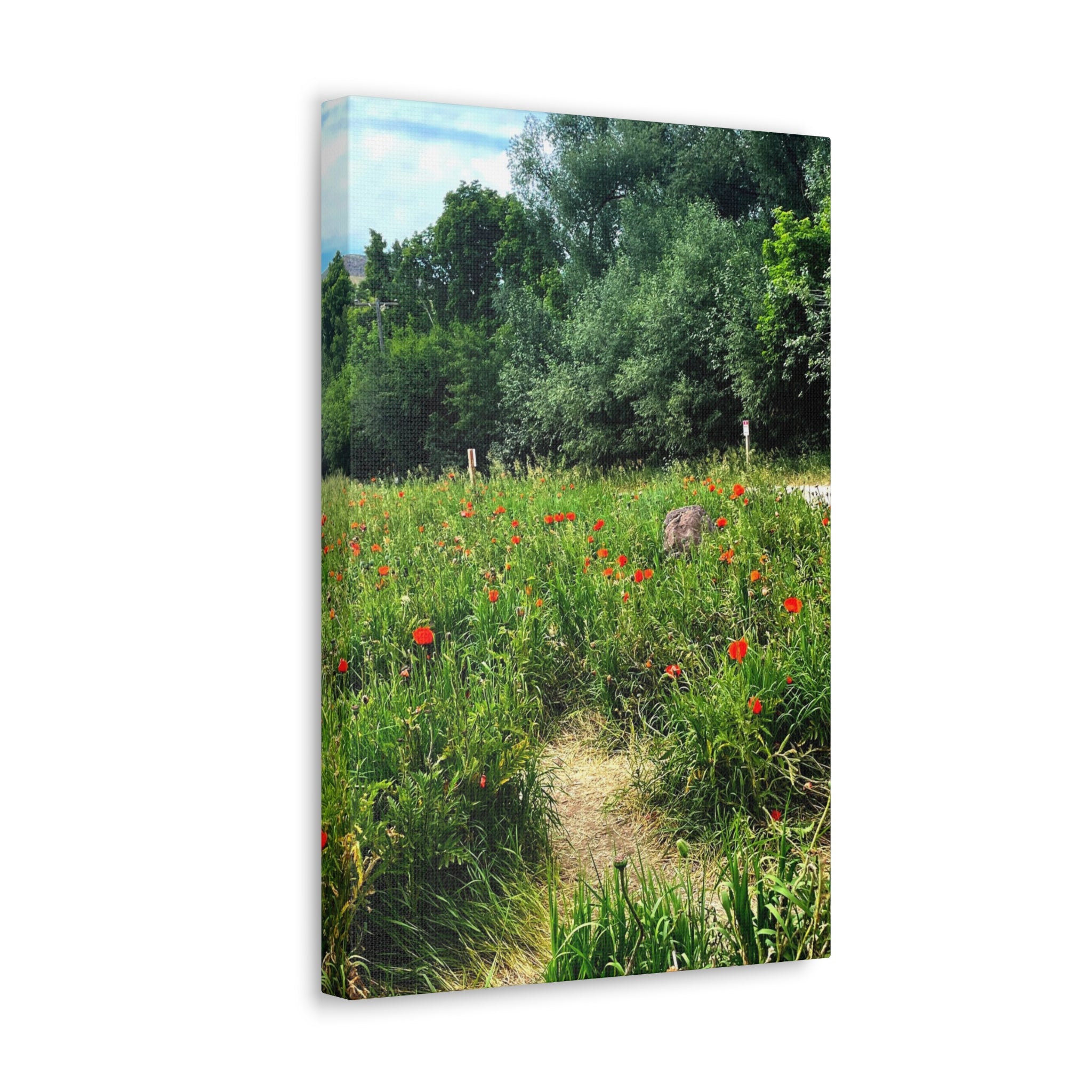 Utah Mountain Countryside Canvas Wrap