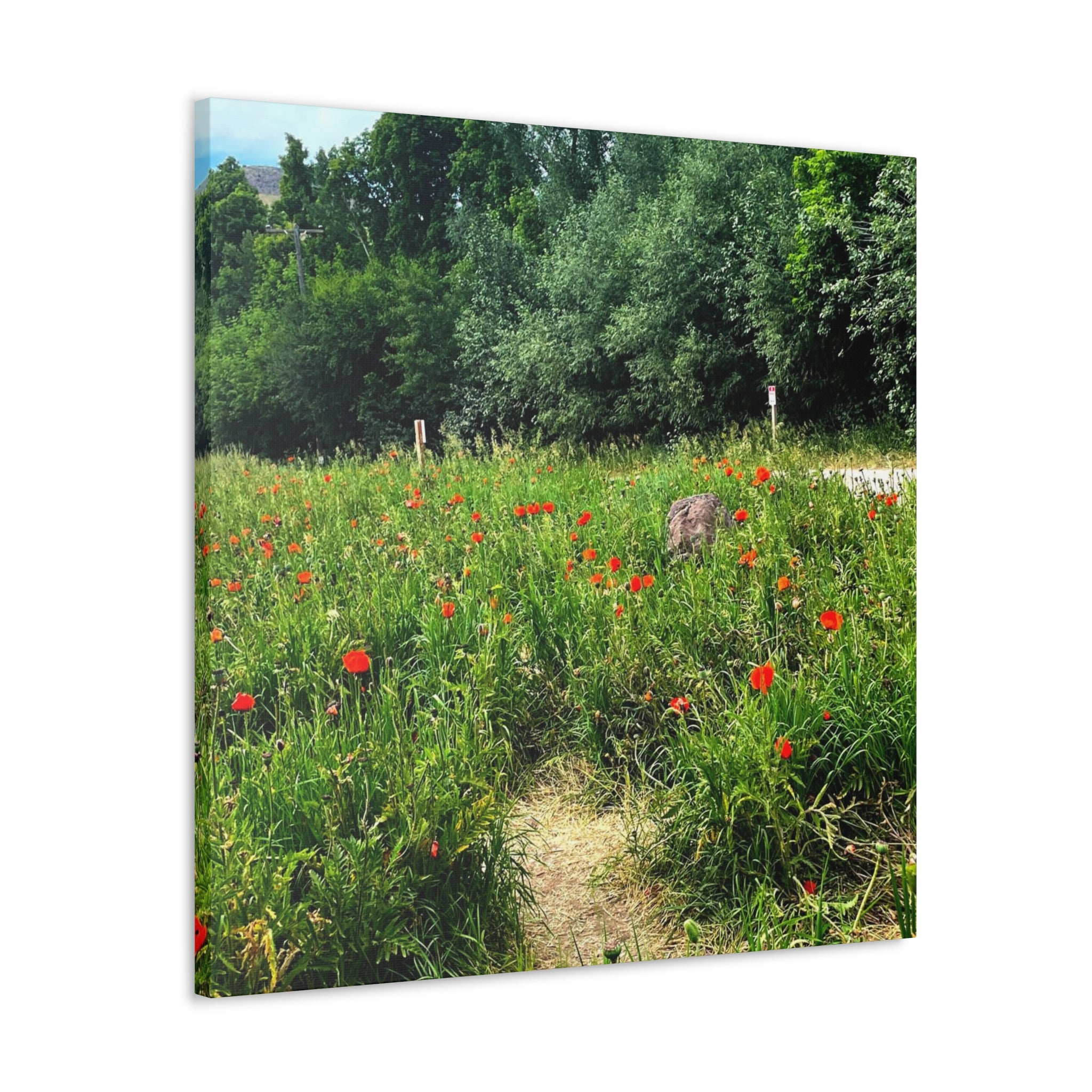 Utah Mountain Countryside Canvas Wrap