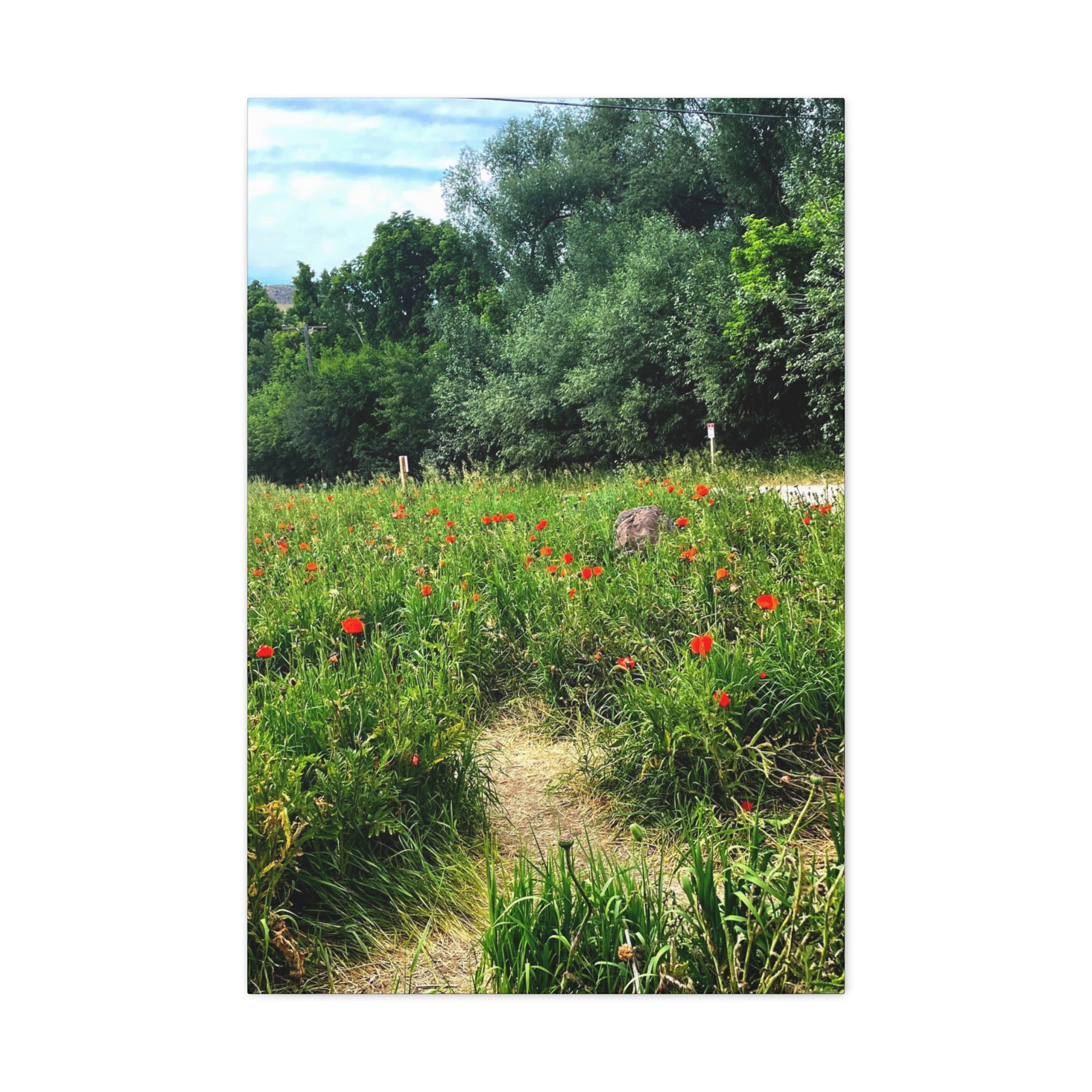 Utah Mountain Countryside Canvas Wrap