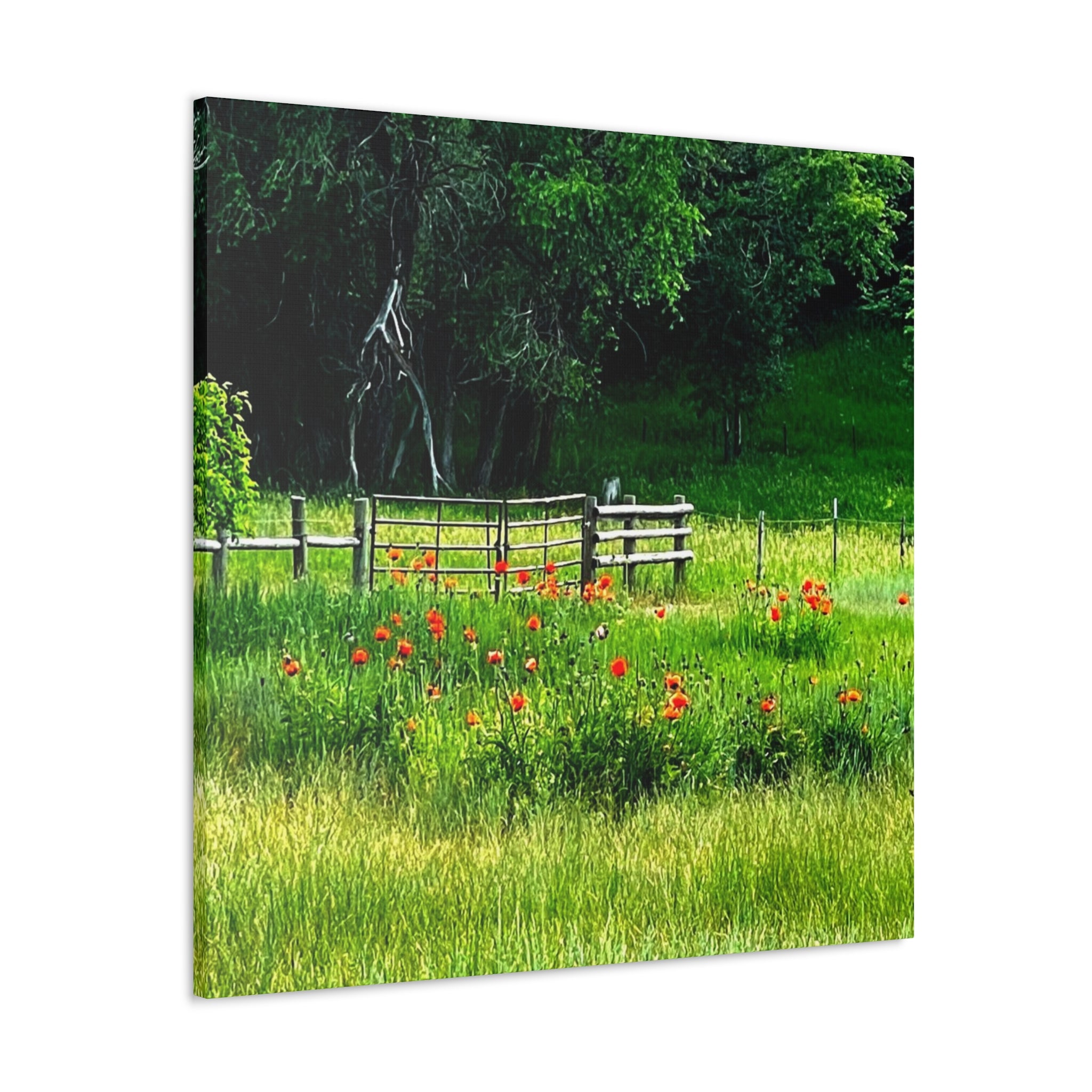 Utah Poppy Field Canvas Wrap