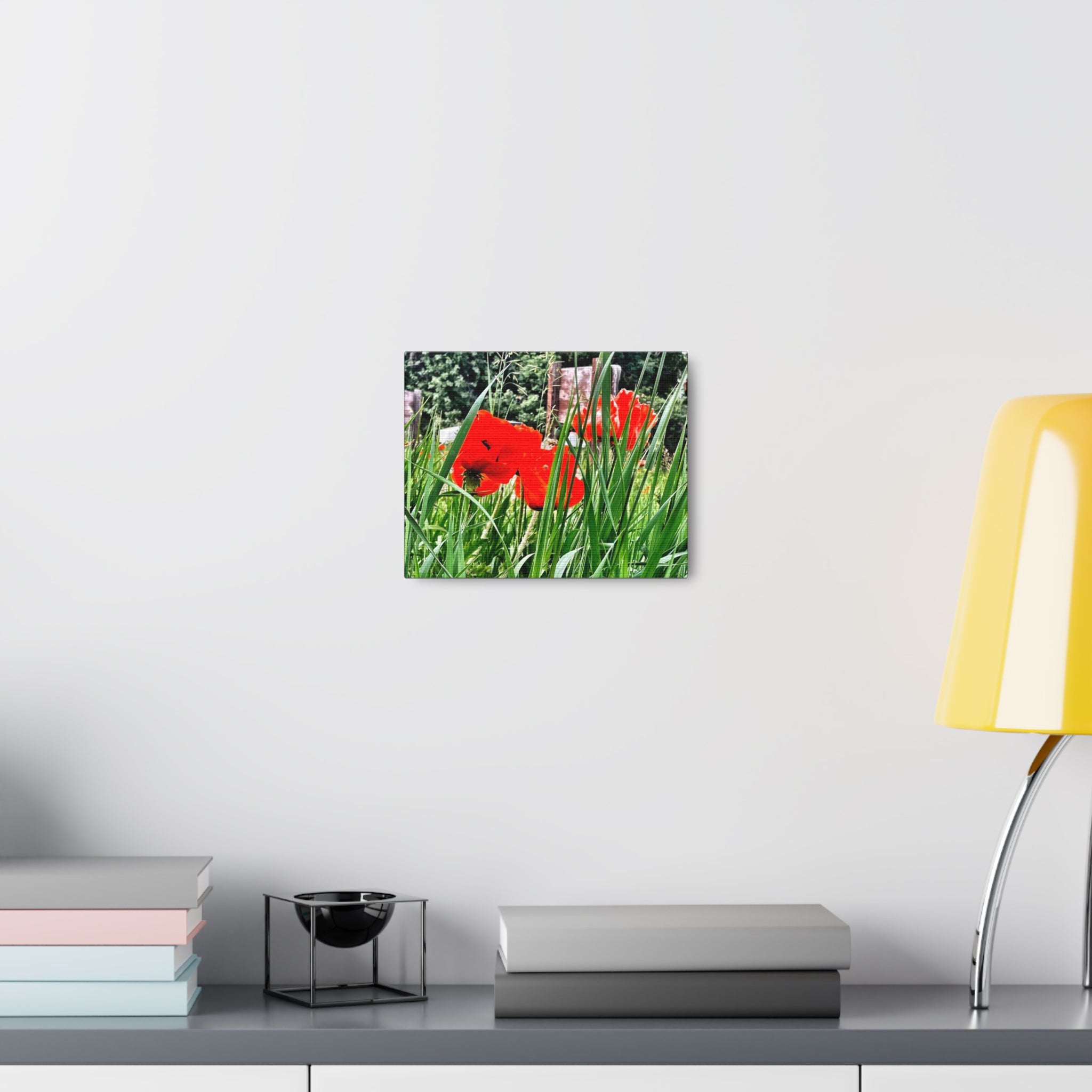 Utah Poppies Canvas Wrap