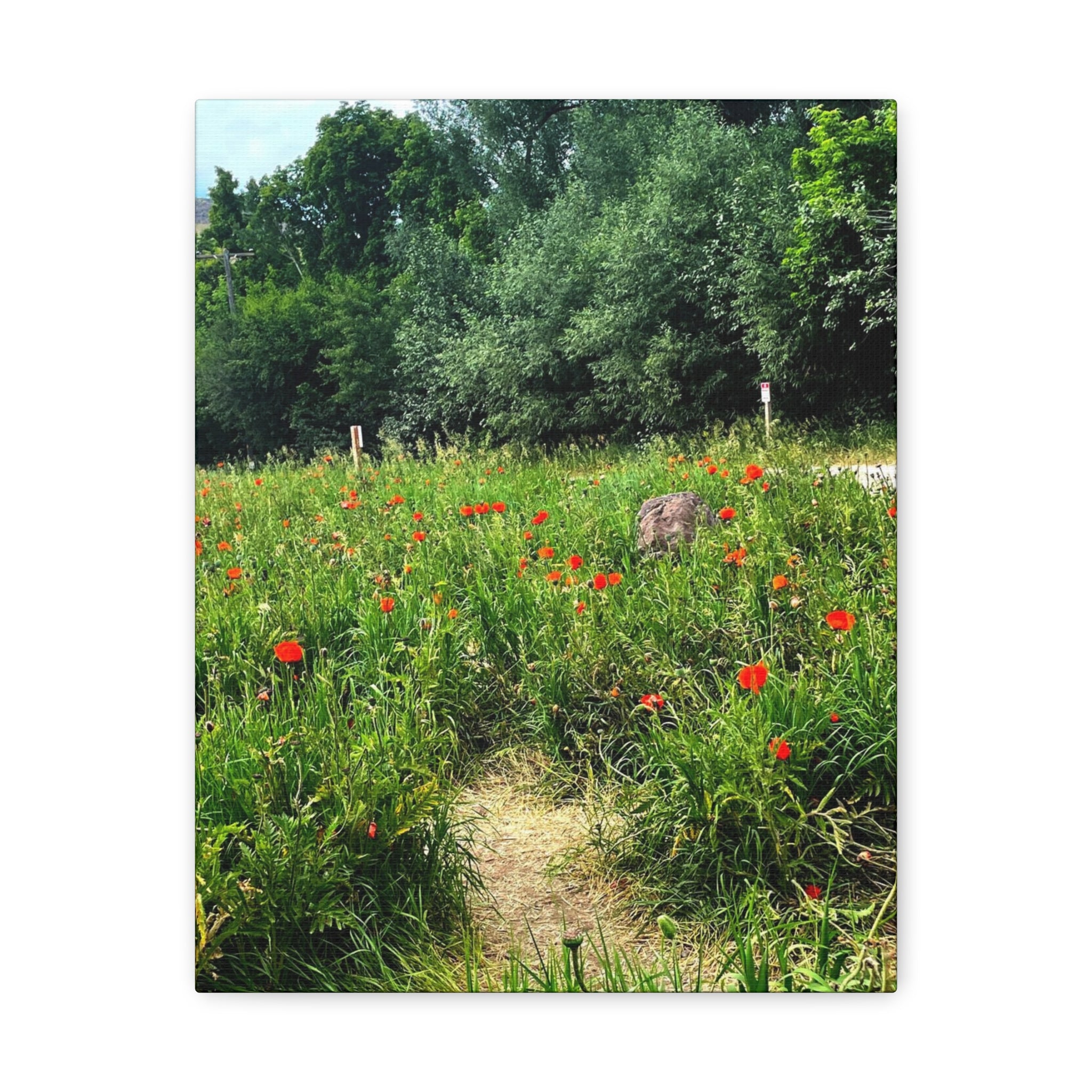 Utah Mountain Countryside Canvas Wrap