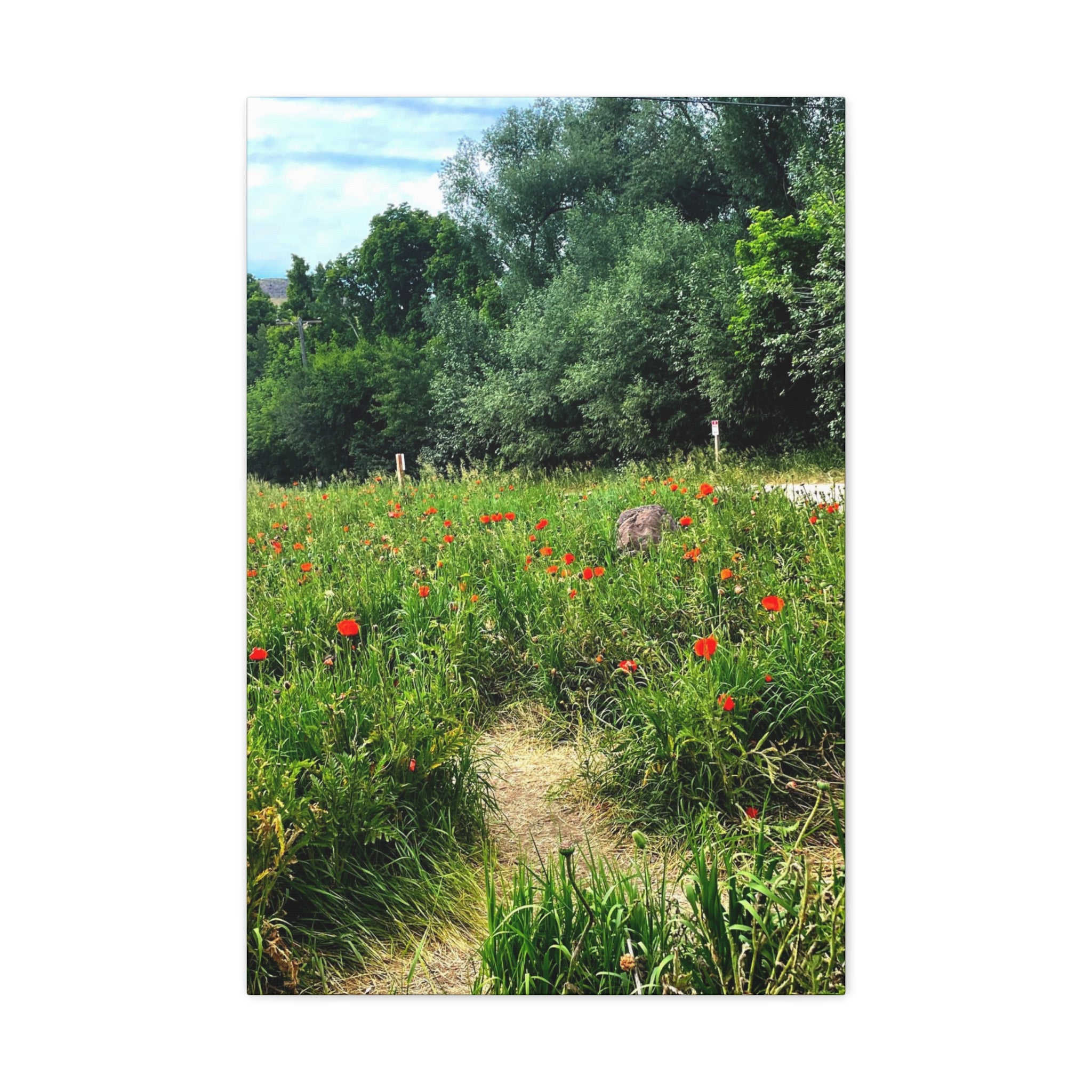 Utah Mountain Countryside Canvas Wrap