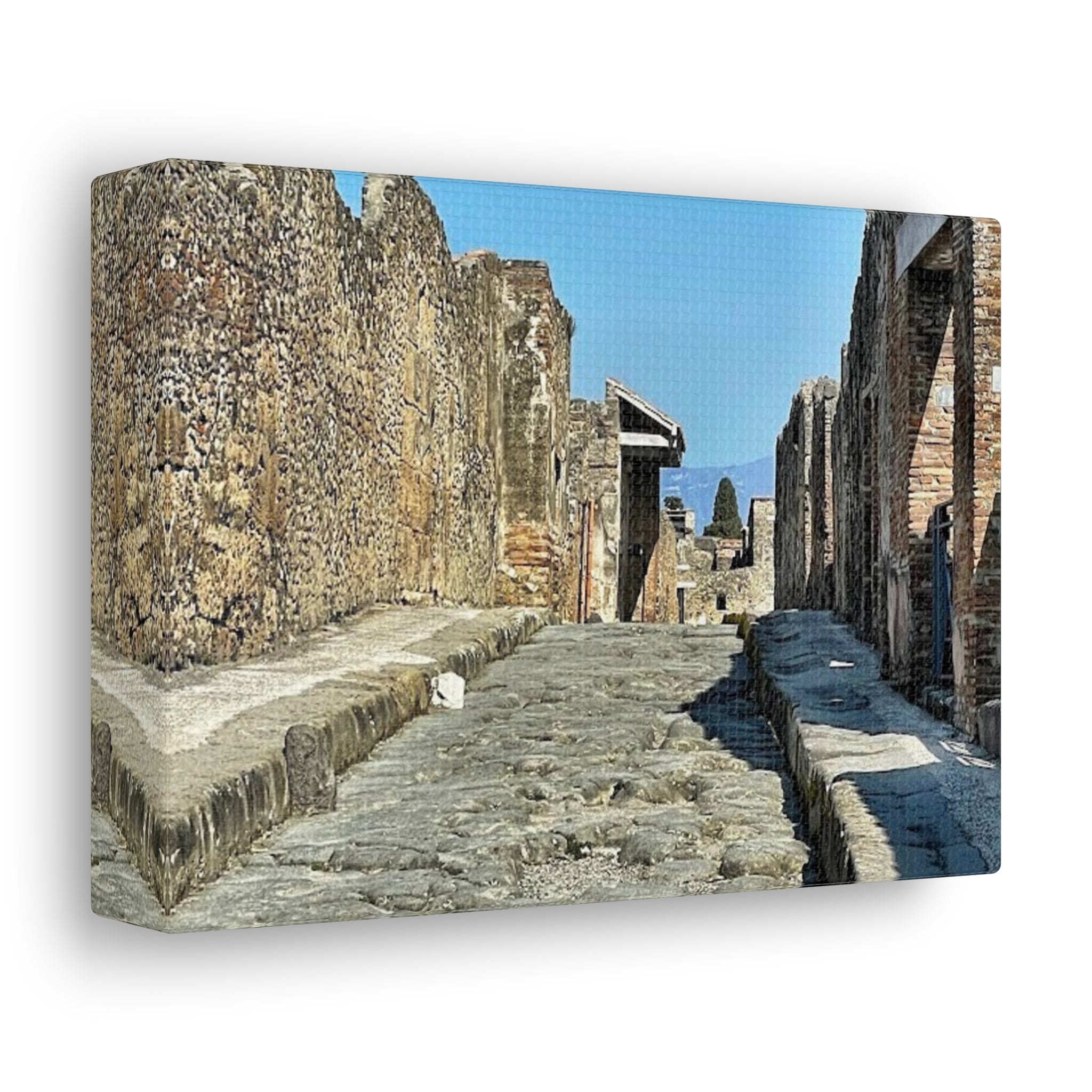 Pompeii Italy Canvas Wrap